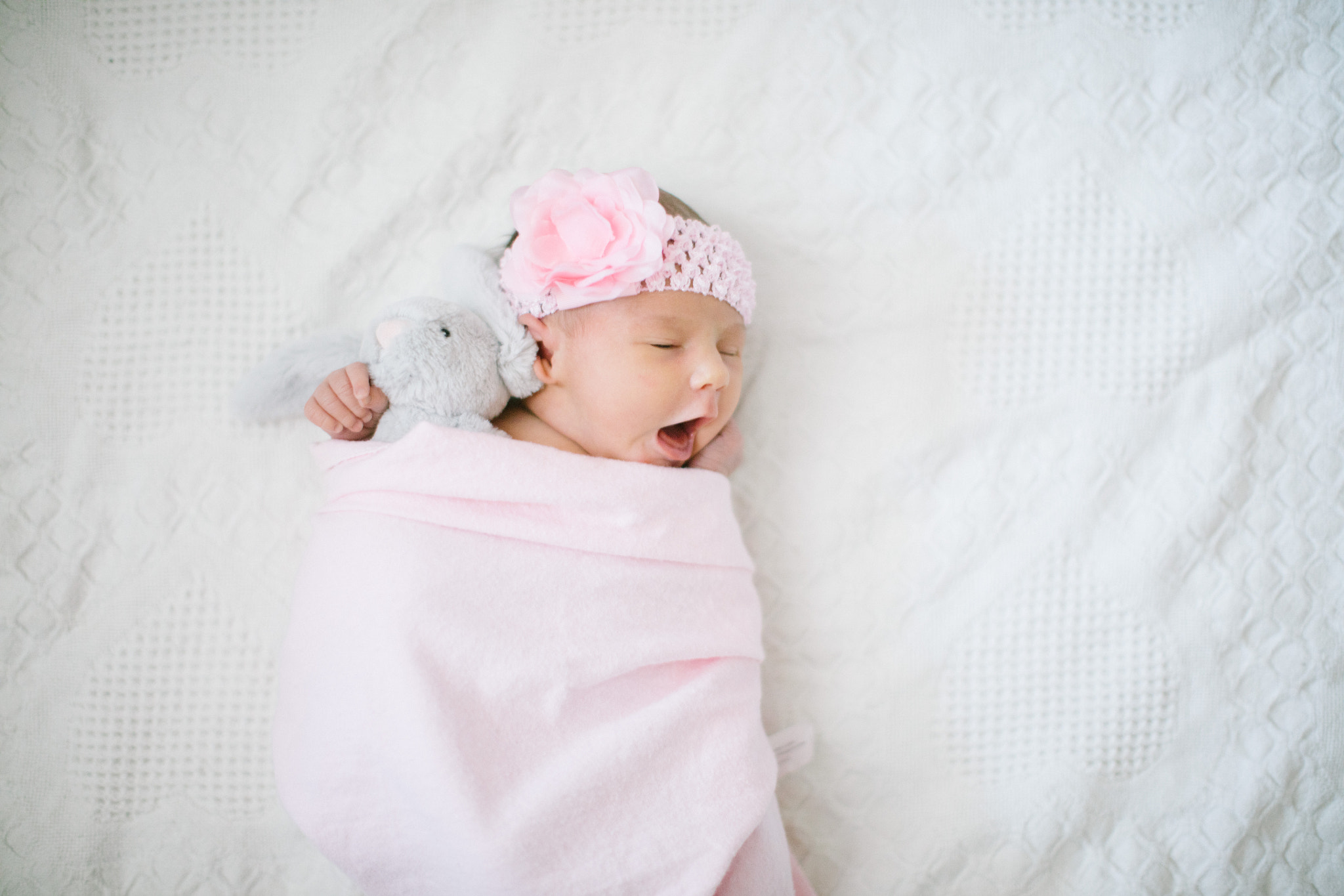 Canon EOS 5DS + Canon EF 50mm F1.2L USM sample photo. Yawn photography