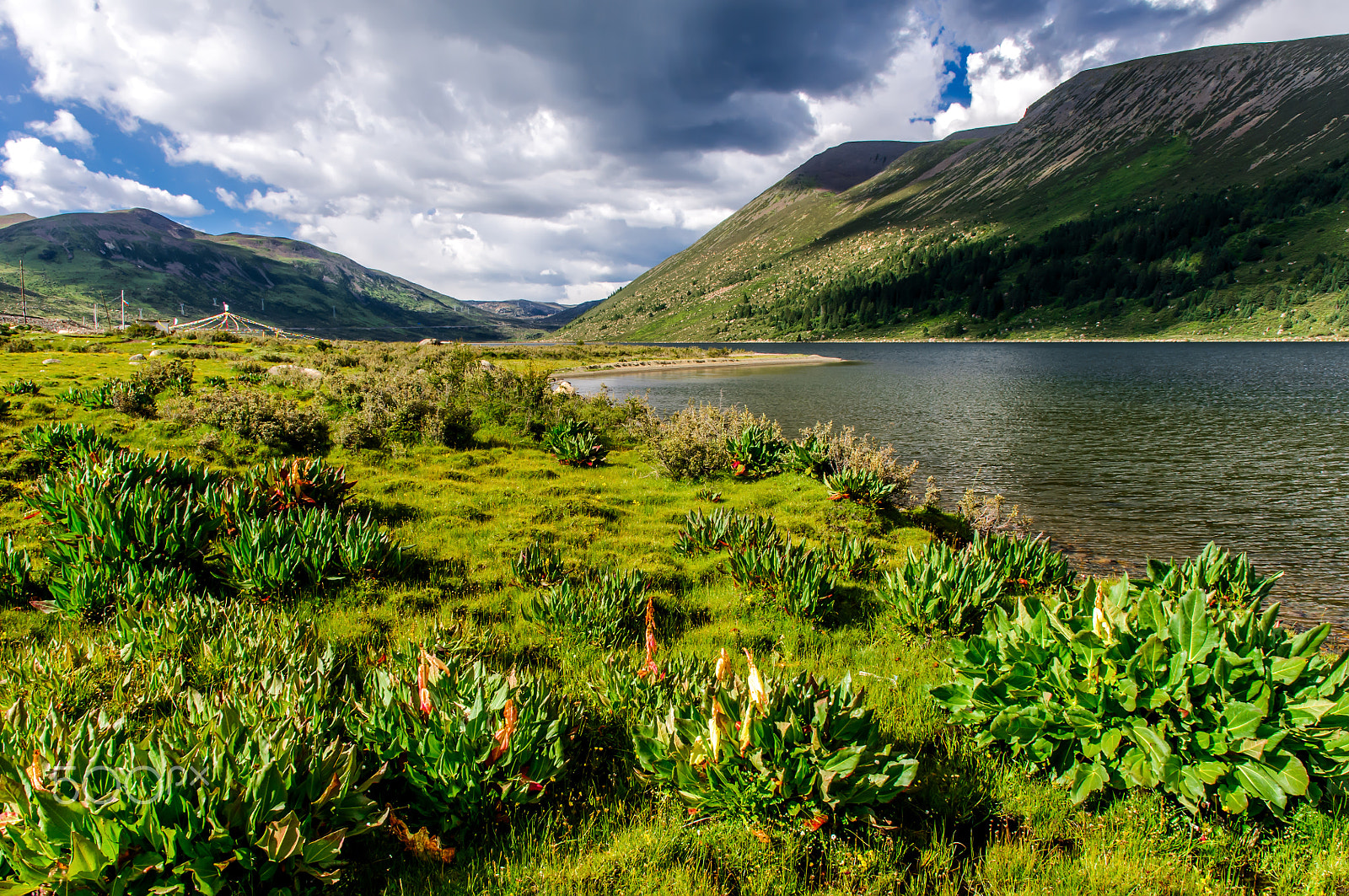 Nikon D300S + Sigma 17-50mm F2.8 EX DC OS HSM sample photo. Lakeshore of haizishan mountain photography