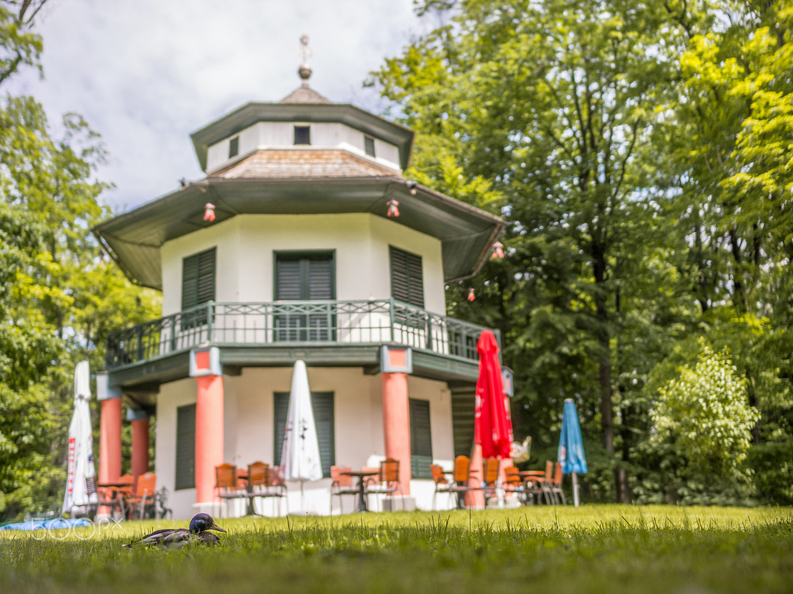 Sony Alpha NEX-5 + Sony E 35mm F1.8 OSS sample photo. Chinese house in Żywiec photography
