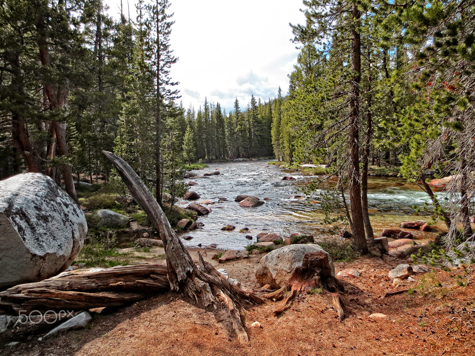 Canon IXUS 240 HS sample photo. Yosemite photography