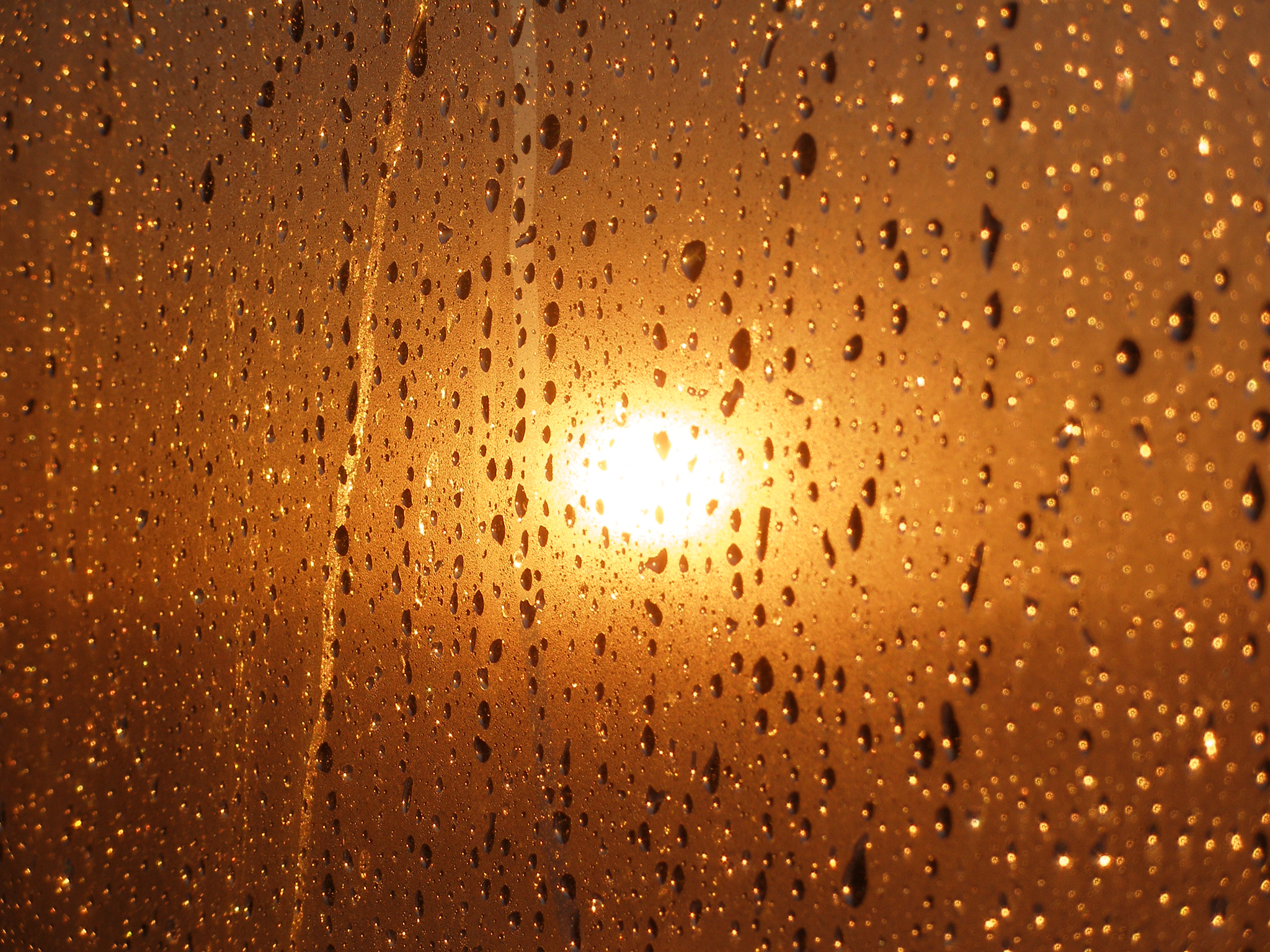 Olympus C70Z,C7000Z sample photo. Sun in the rain. photography