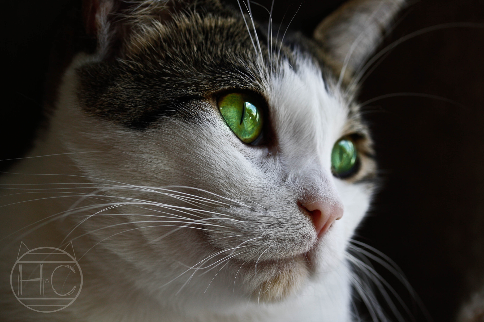 Canon EF-S 60mm F2.8 Macro USM sample photo. A familiar photography