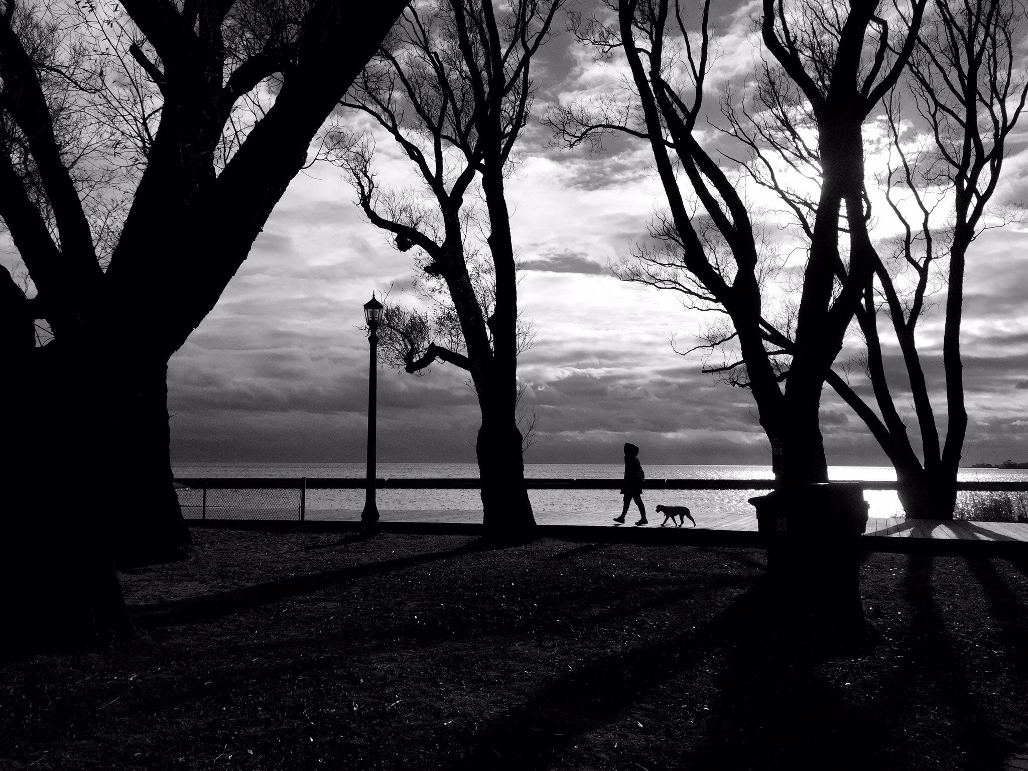 Curious Satellite Hueless on iPhone sample photo