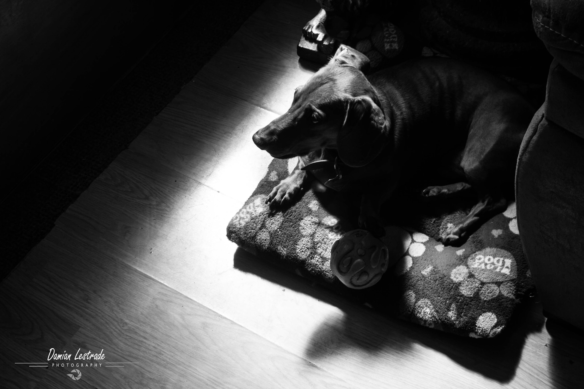 Canon EF 28-90mm f/4-5.6 sample photo. Fidelity photography