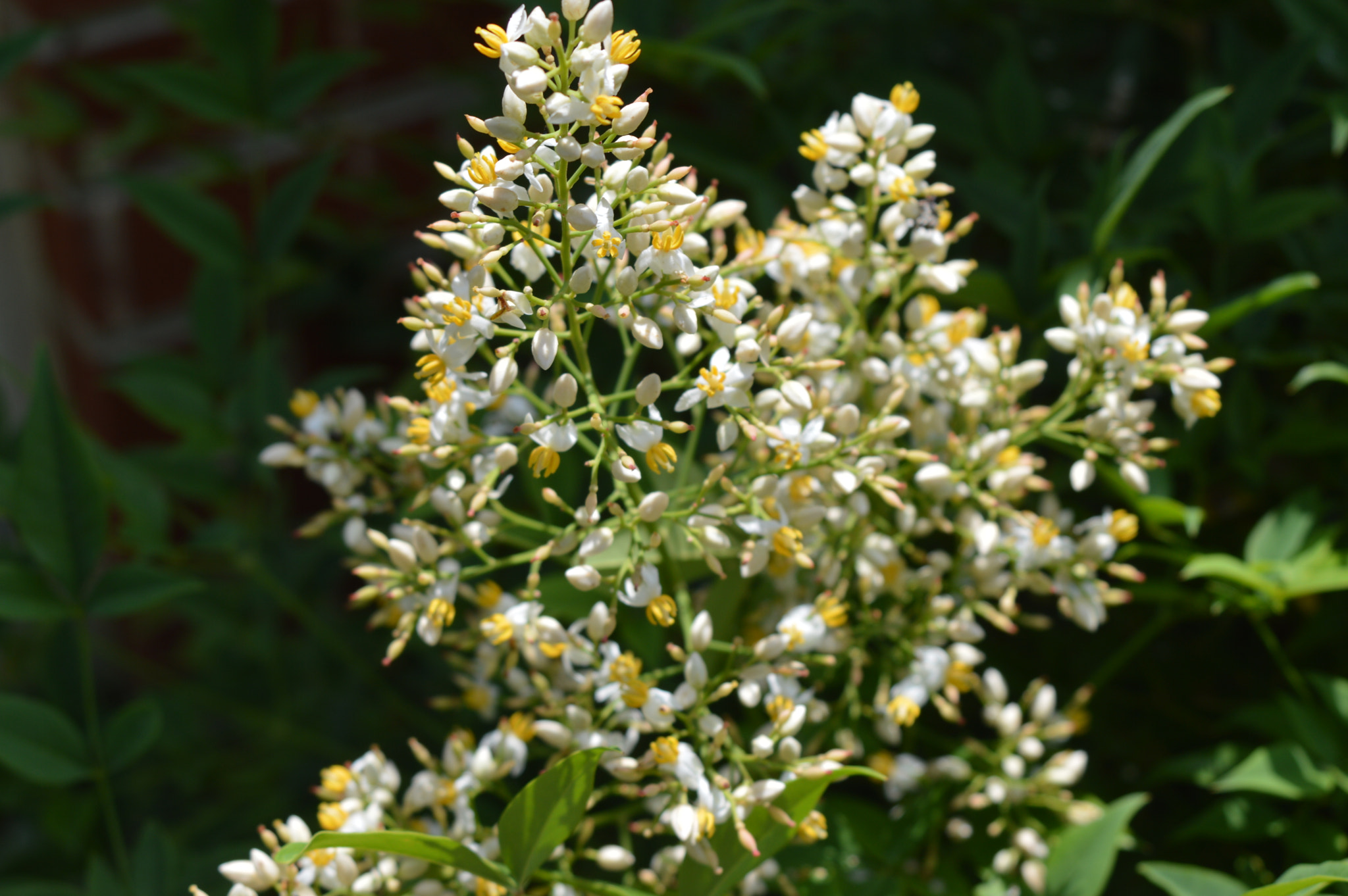 AF Zoom-Nikkor 35-70mm f/3.3-4.5 N sample photo. [] photography