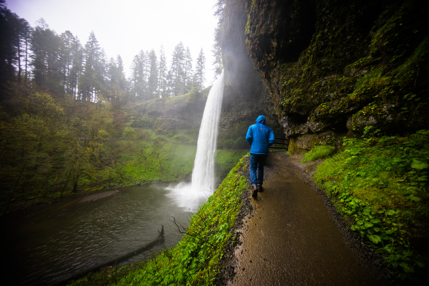 Sony a7 + Sony E 10-18mm F4 OSS sample photo. Oregon photography