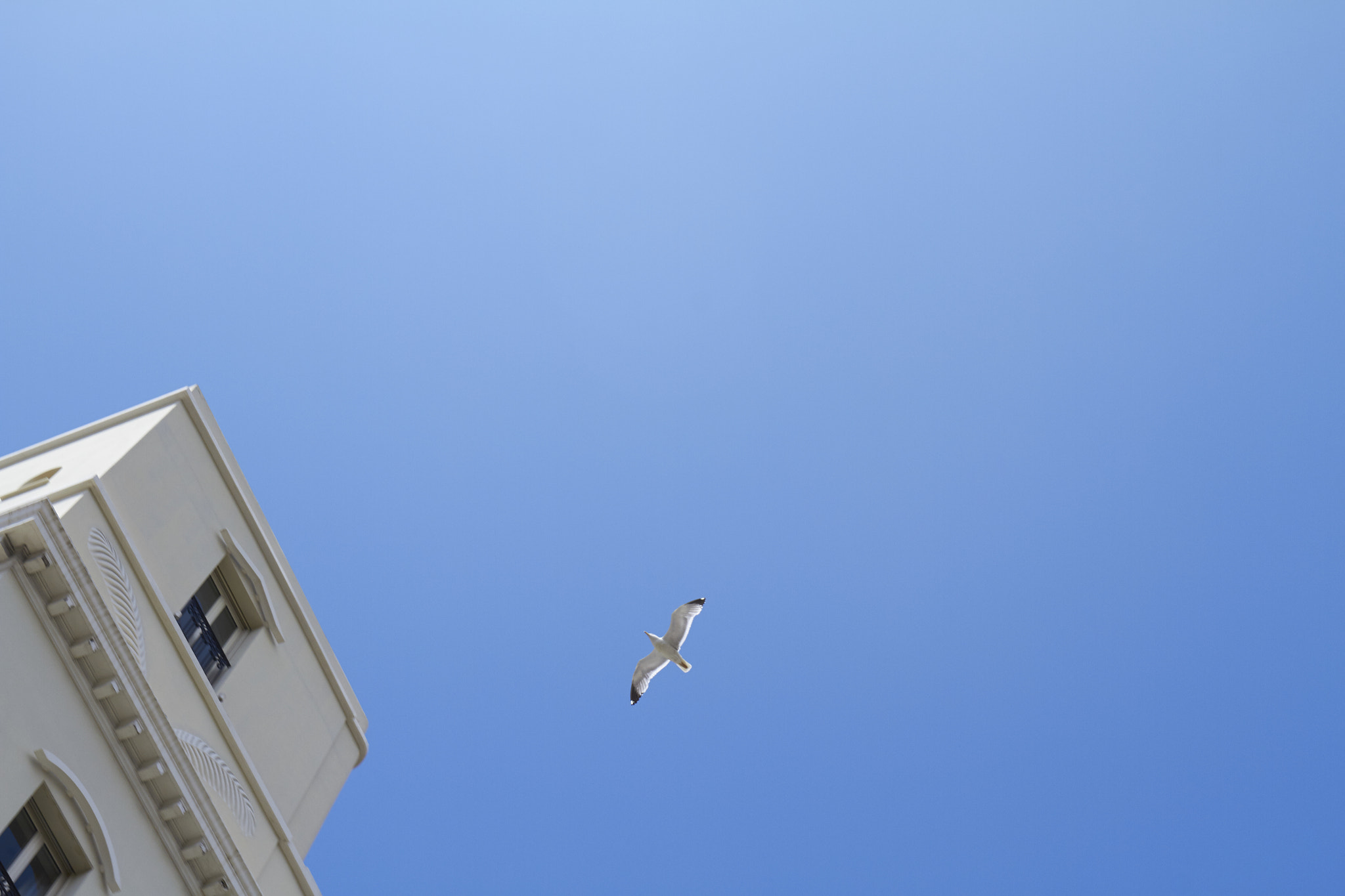 Canon EOS 7D + Canon EF 16-35mm F4L IS USM sample photo. Flying higher photography