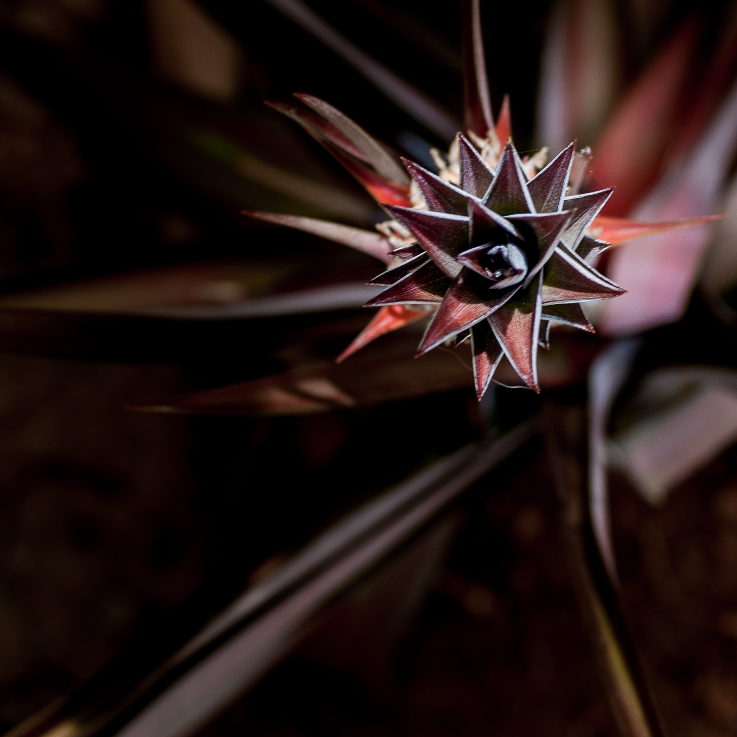 Nikon D40X sample photo. Geometrical photography