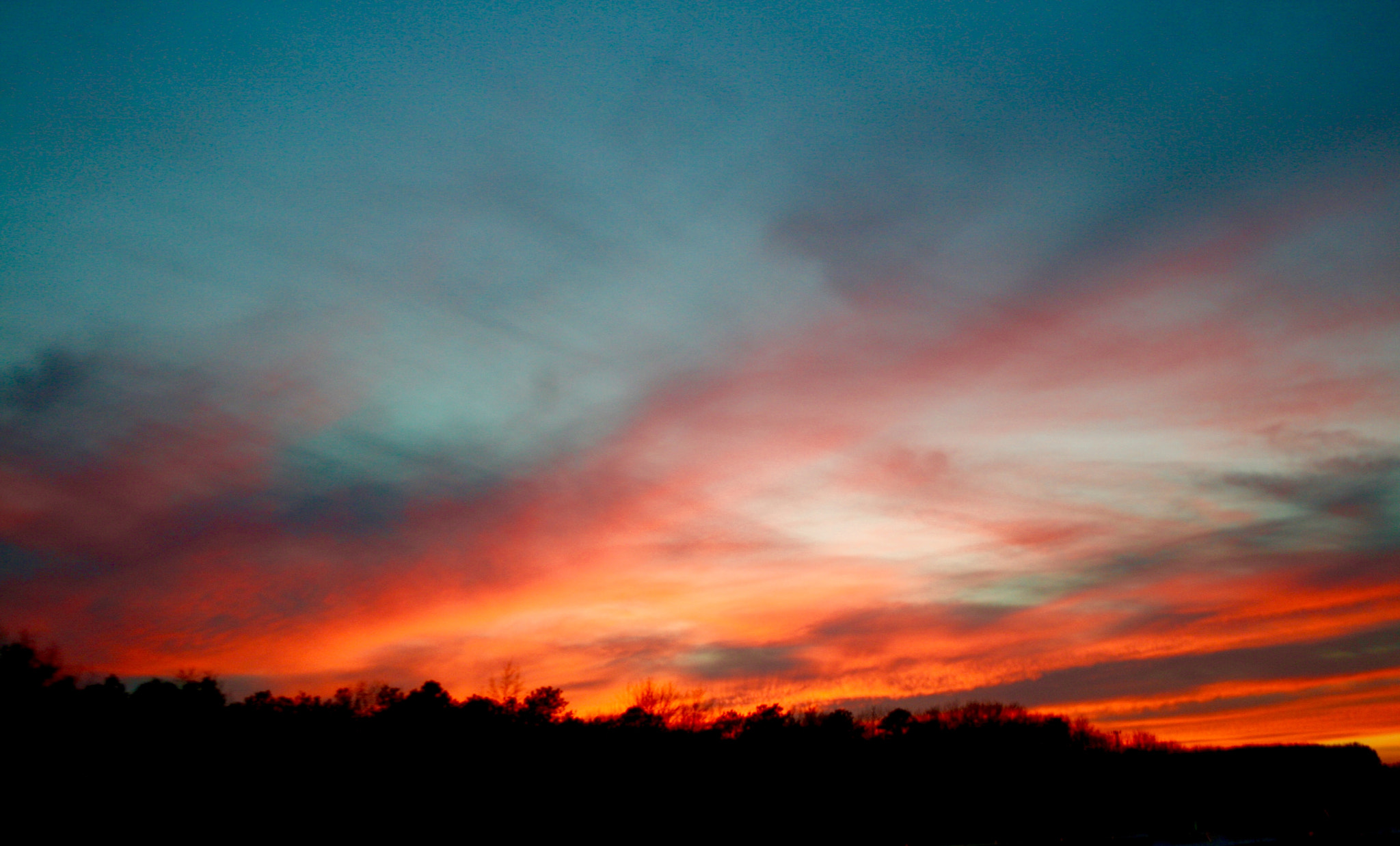 Canon EF-S 18-55mm F3.5-5.6 sample photo. Belmar, nj photography