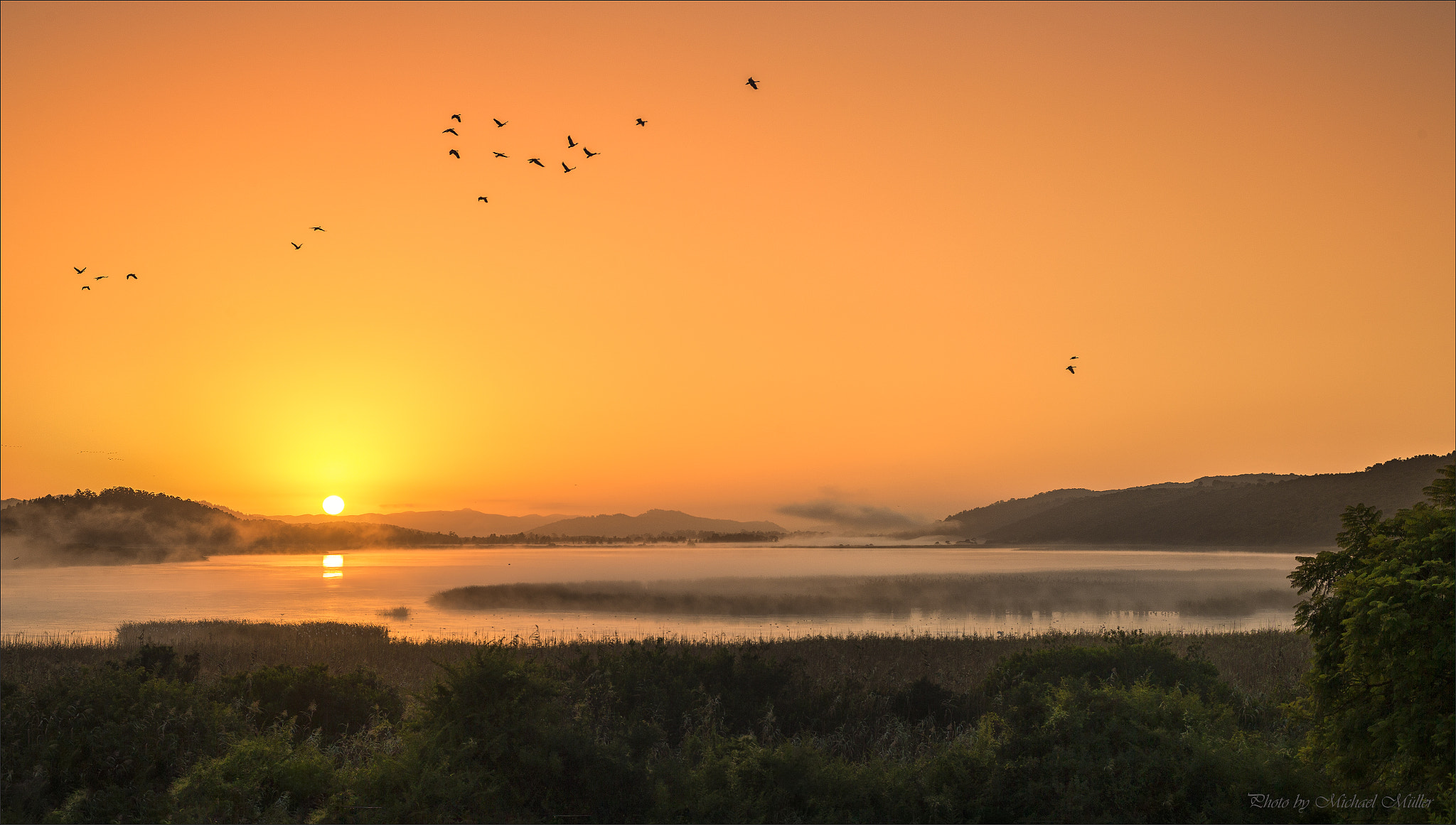 Canon EOS-1D X + ZEISS Planar T* 50mm F1.4 sample photo. Good morning photography