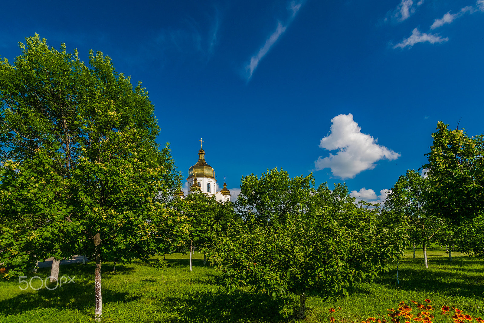 Nikon D3300 + Tokina AT-X 11-20 F2.8 PRO DX (AF 11-20mm f/2.8) sample photo. Golden onion domes and blue sky photography