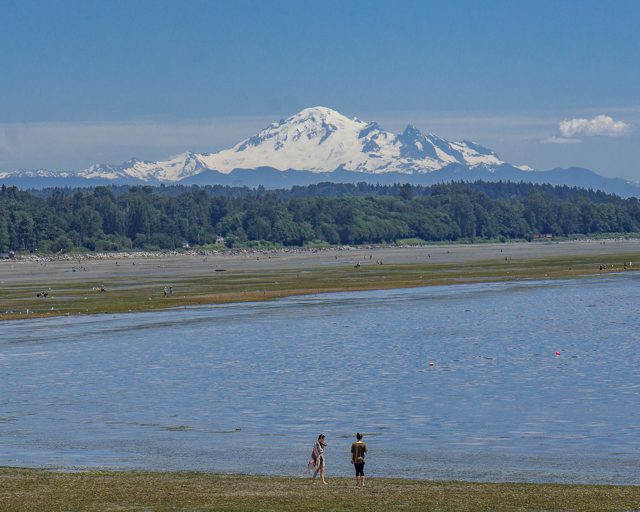 Sony E 18-200mm F3.5-6.3 OSS LE sample photo. Mount baker up close photography
