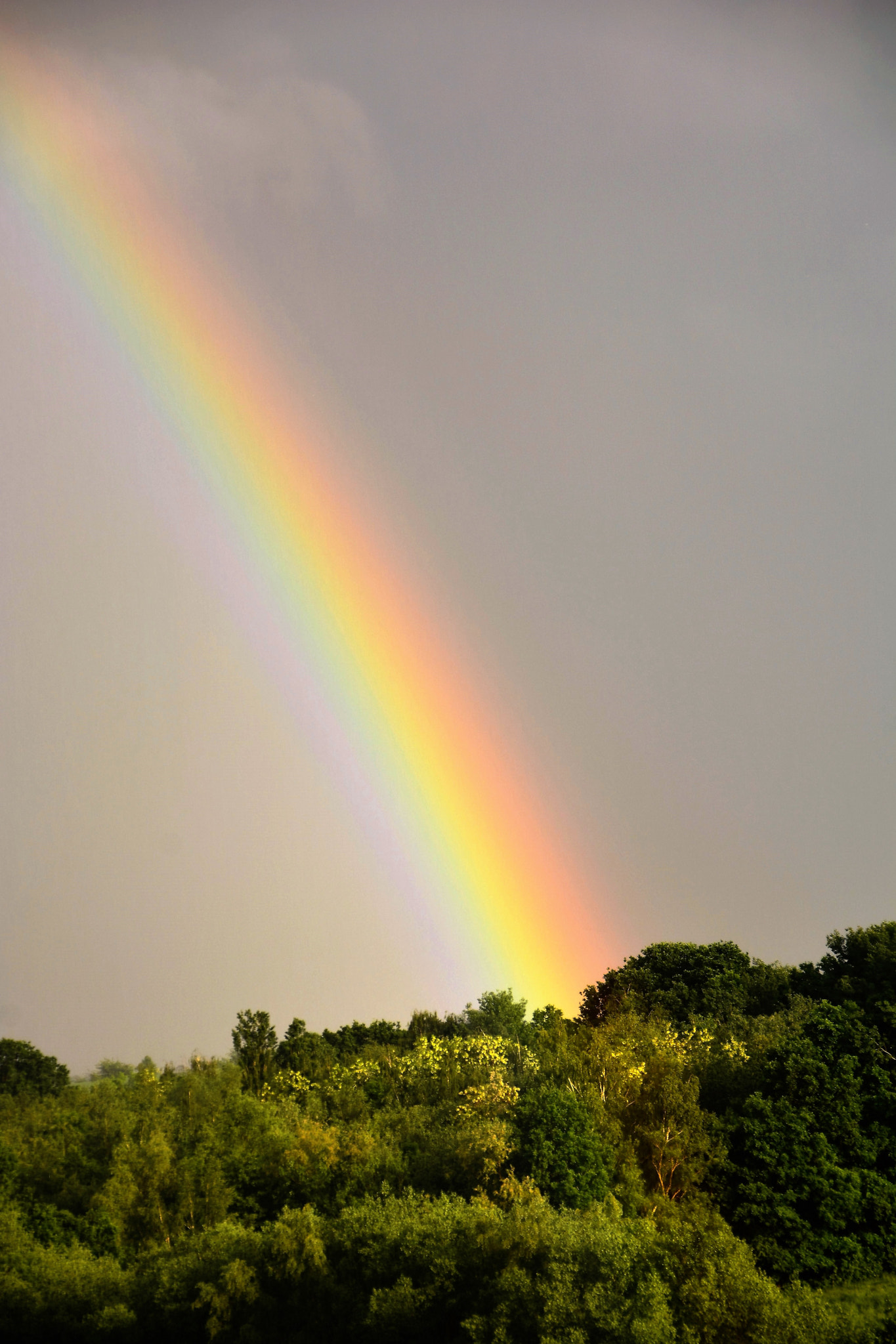 Nikon D7100 + Sigma 18-250mm F3.5-6.3 DC OS HSM sample photo. After the rain photography