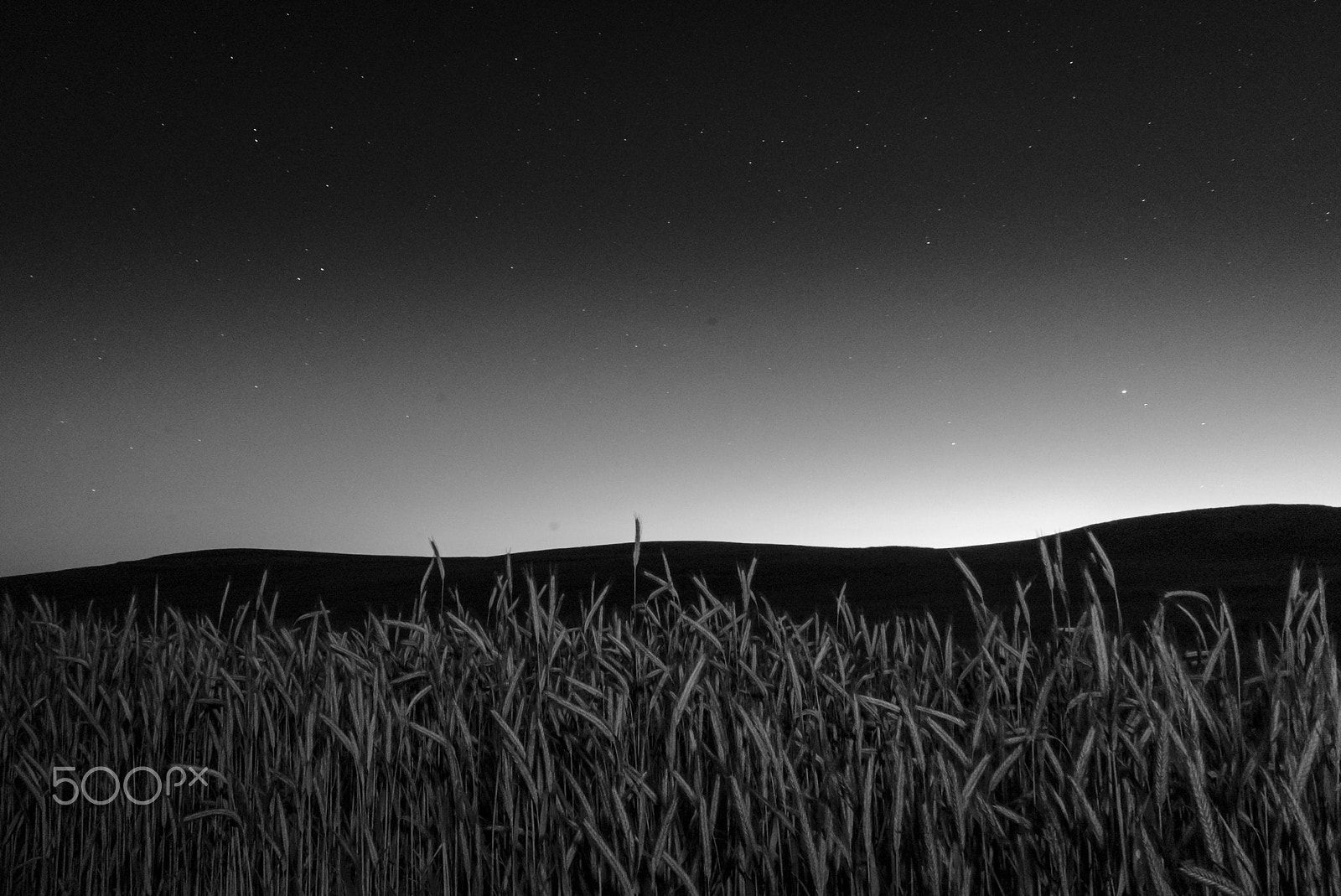 Sony FE 28mm F2 sample photo. Nature layers photography