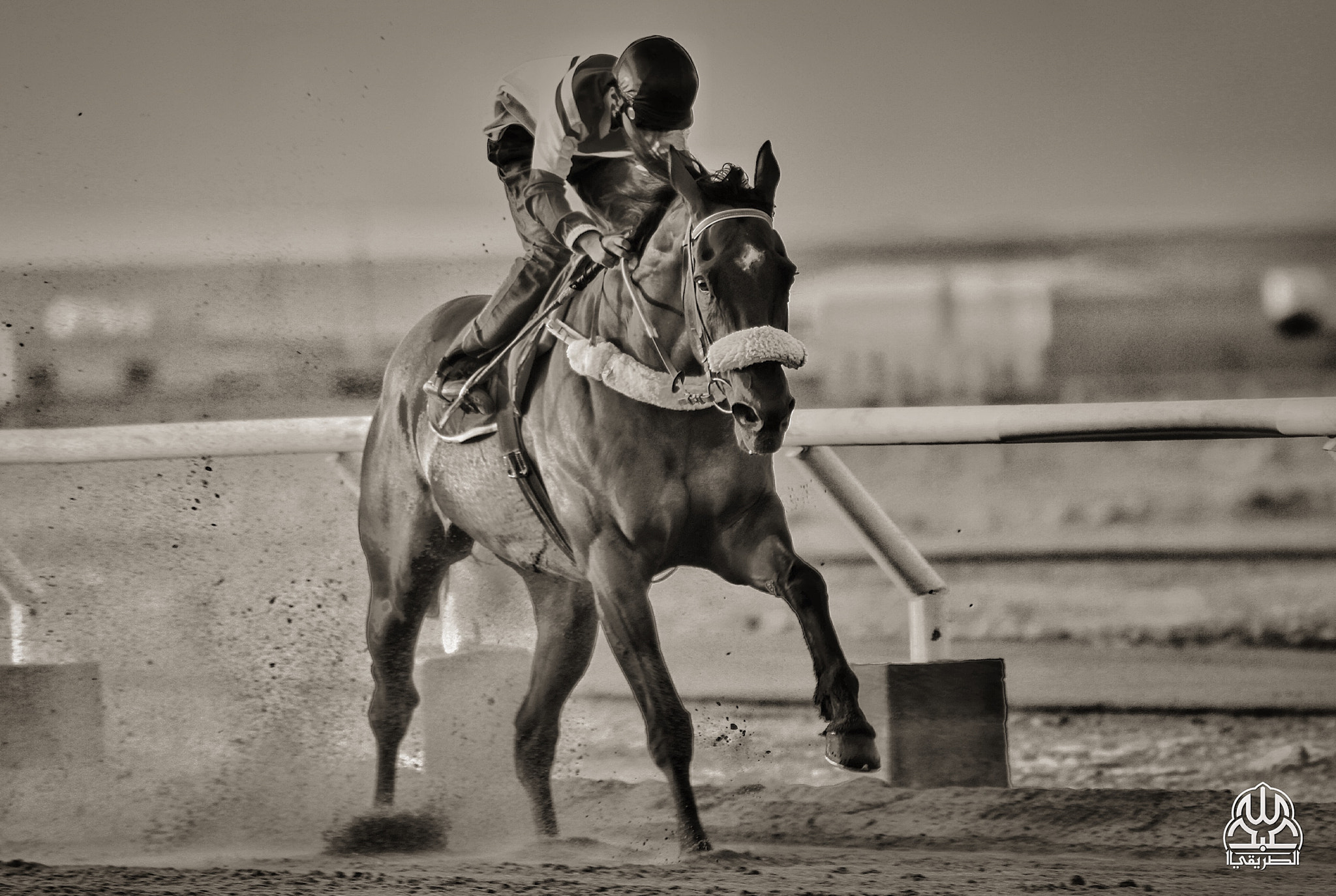 Canon EOS 7D + Canon EF 400mm F5.6L USM sample photo. من فروسية الزلفي  photography