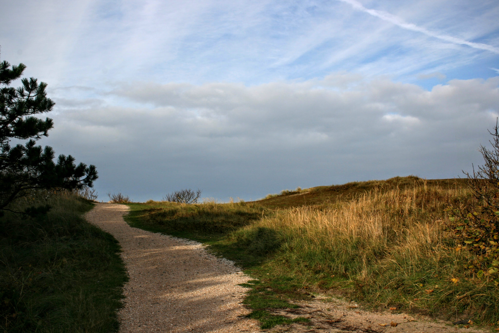 Canon EF-S 18-55mm F3.5-5.6 sample photo. Dunes texel photography