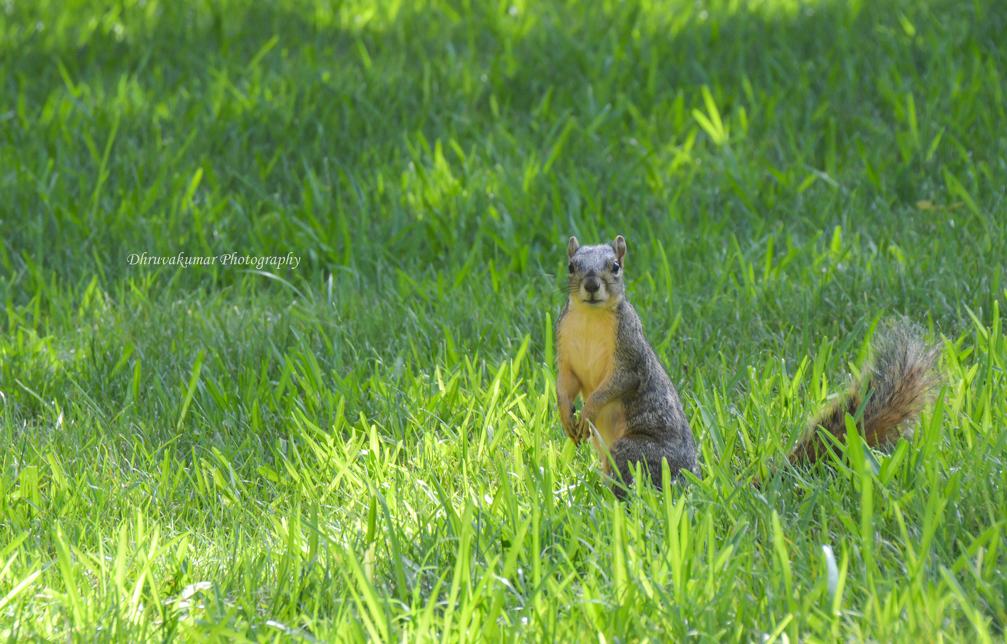 Sigma 18-200mm F3.5-6.3 II DC OS HSM sample photo. What a look !!!!! photography