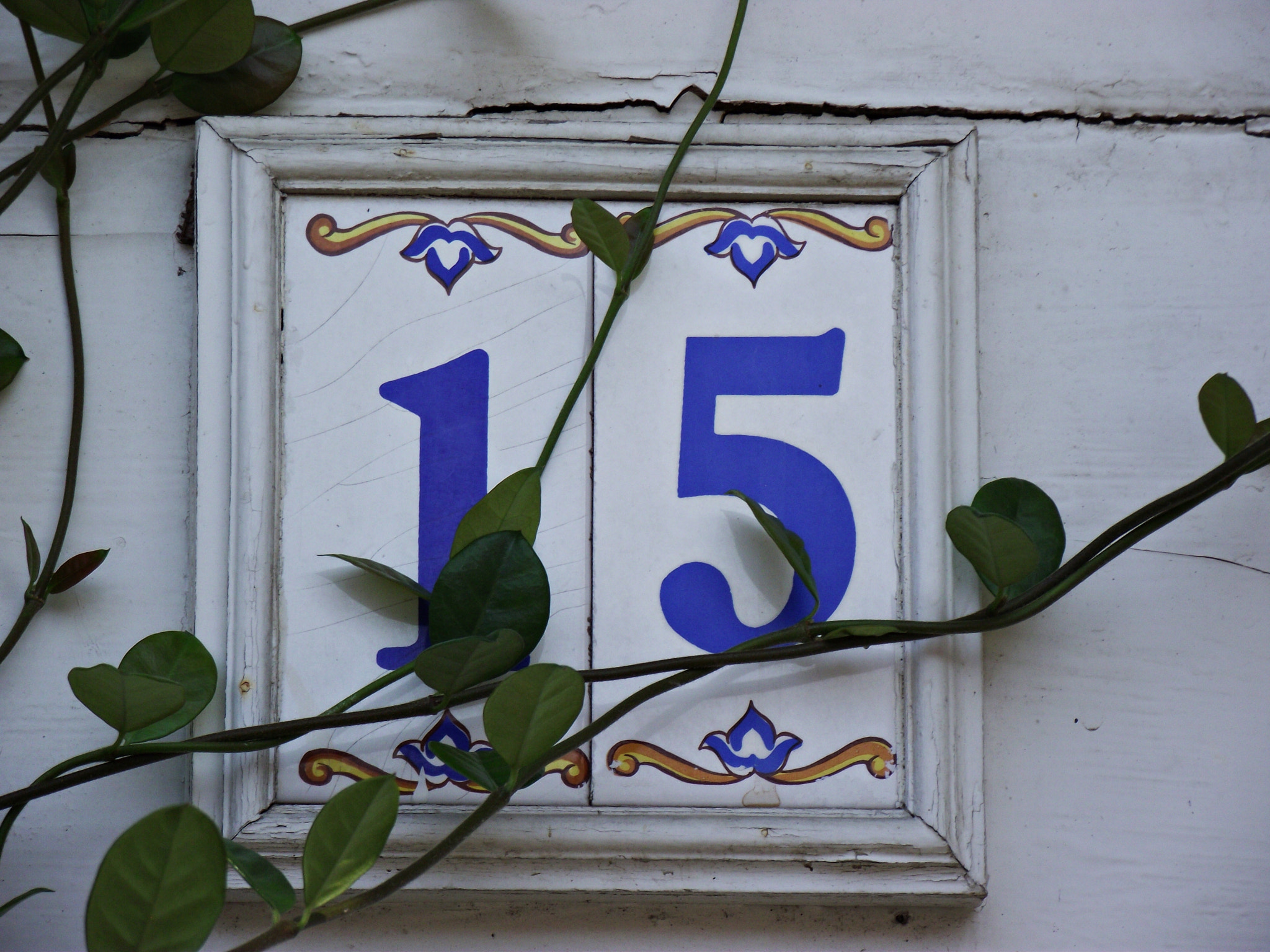 Fujifilm FinePix S1700 sample photo. Door number, prince's islands,istanbul photography