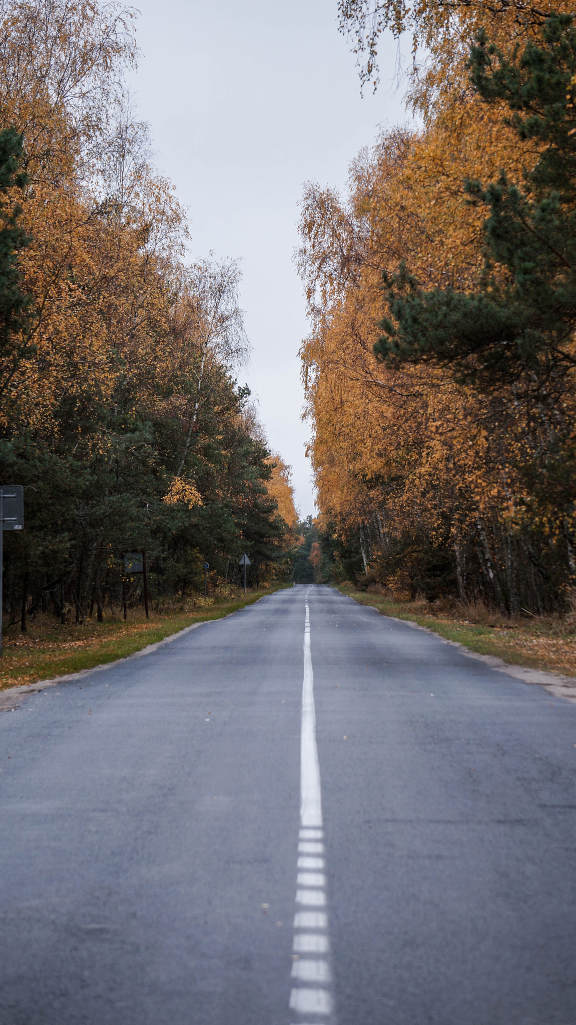 Sony Alpha NEX-3N + Sony E 55-210mm F4.5-6.3 OSS sample photo. без имени photography
