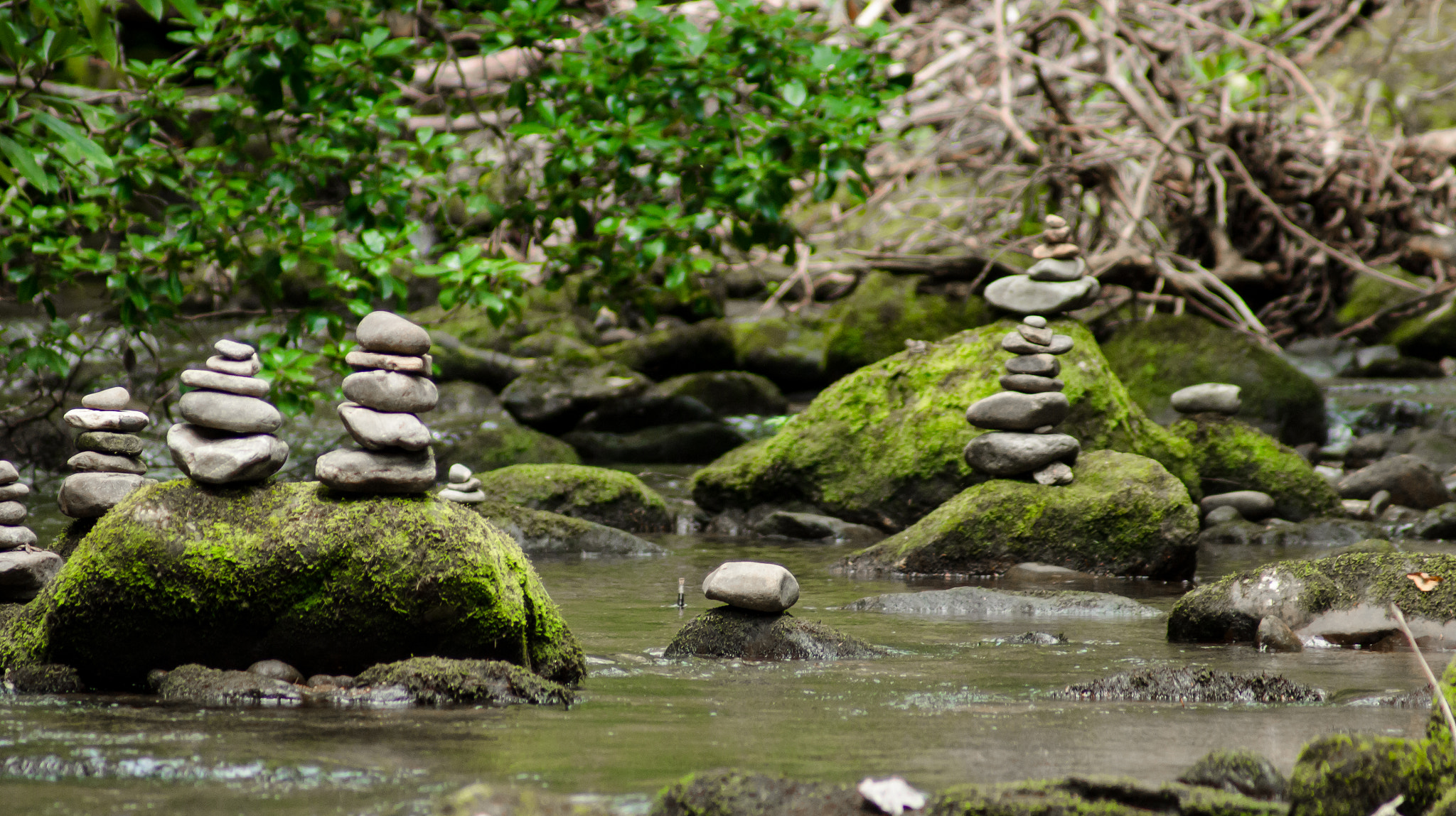 Sony 75-300mm F4.5-5.6 sample photo. Stacks photography