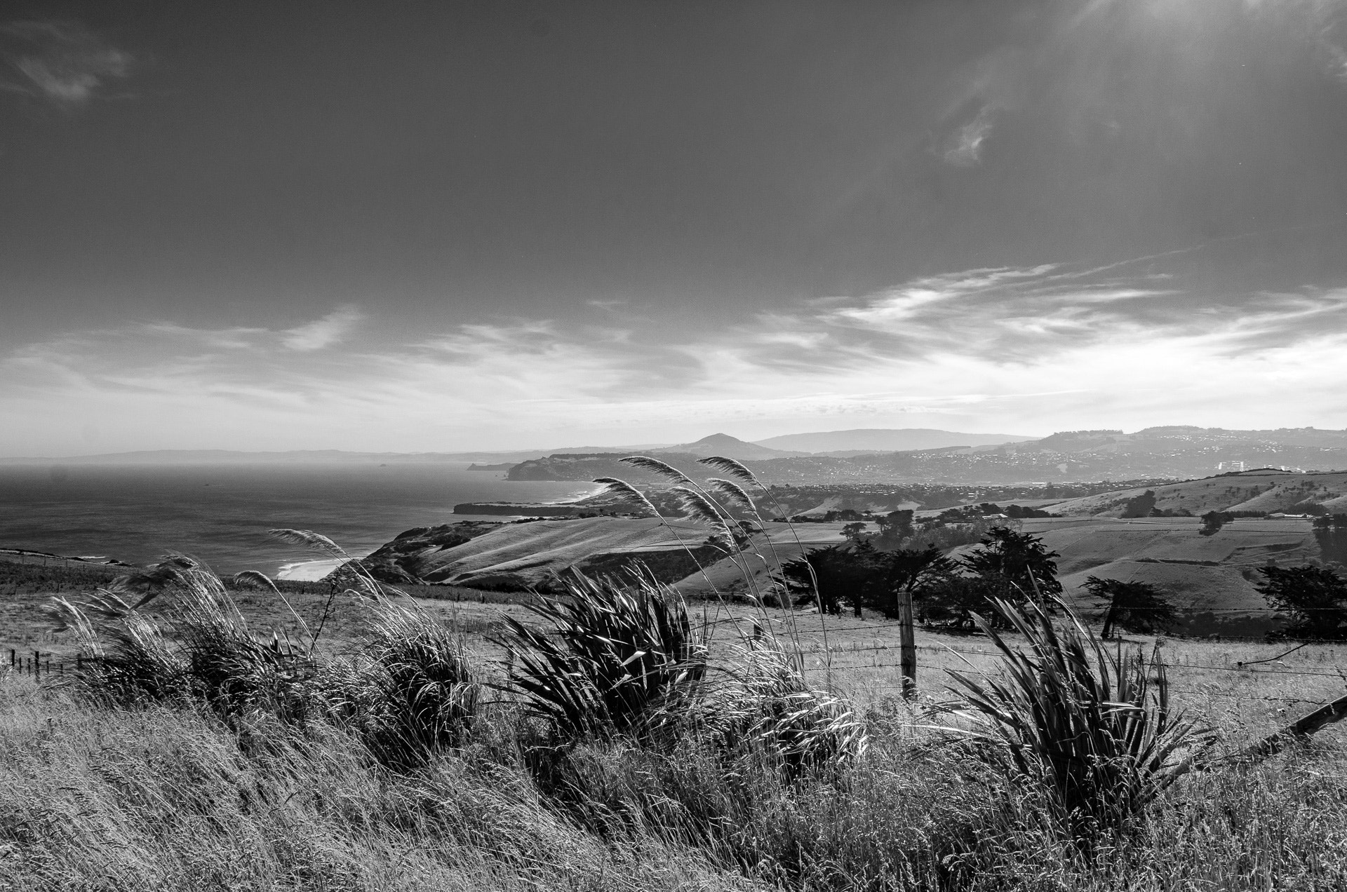 Sigma 18-250mm F3.5-6.3 DC OS HSM sample photo. Tomahawk photography