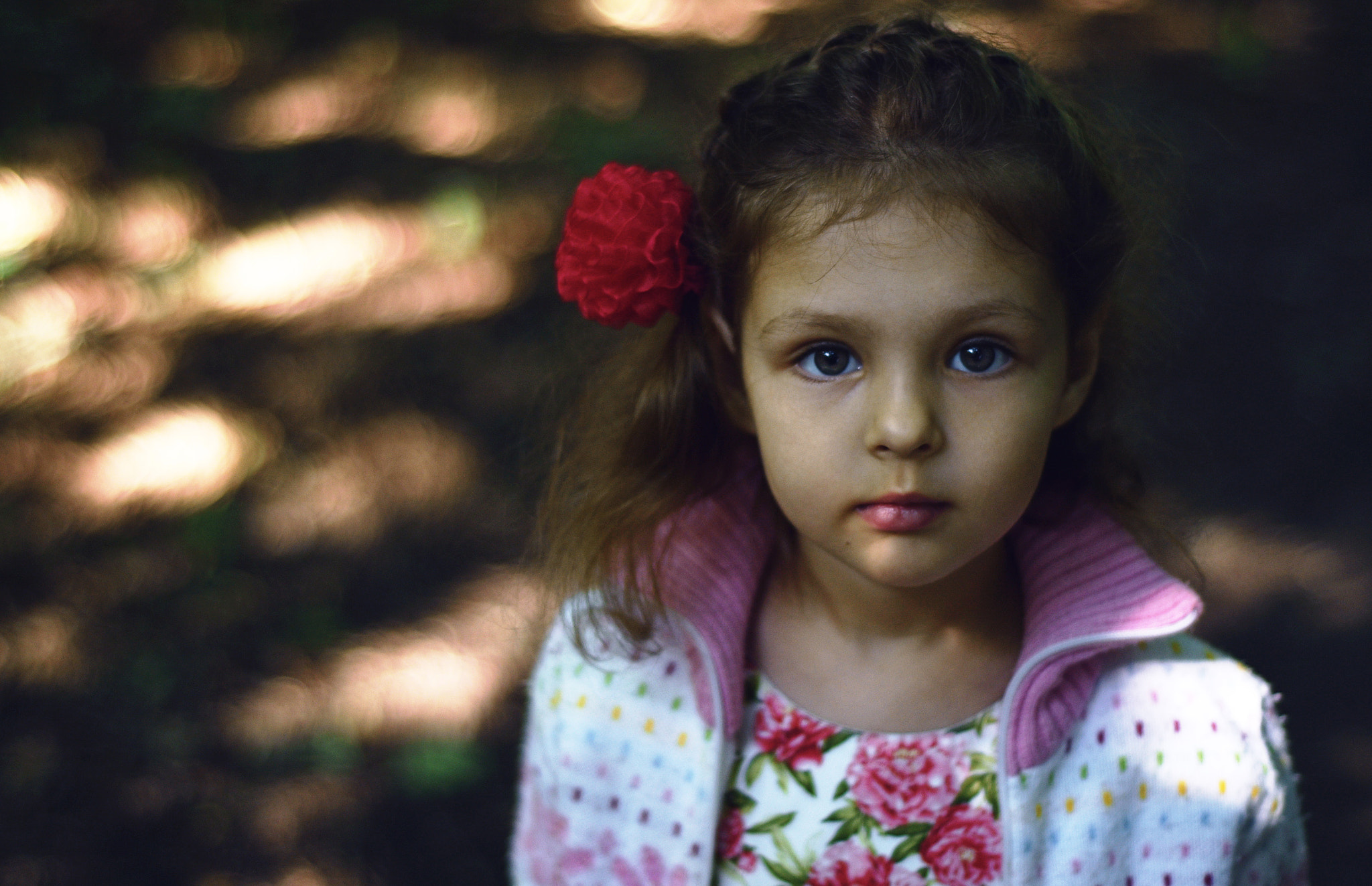 IX-Nikkor 30-60mm f/4-5.6 sample photo. My neigbour photography