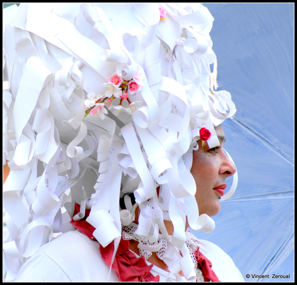 Minolta AF 100-300mm F4.5-5.6 sample photo. Carnaval / landivisiau / juin 2016 photography