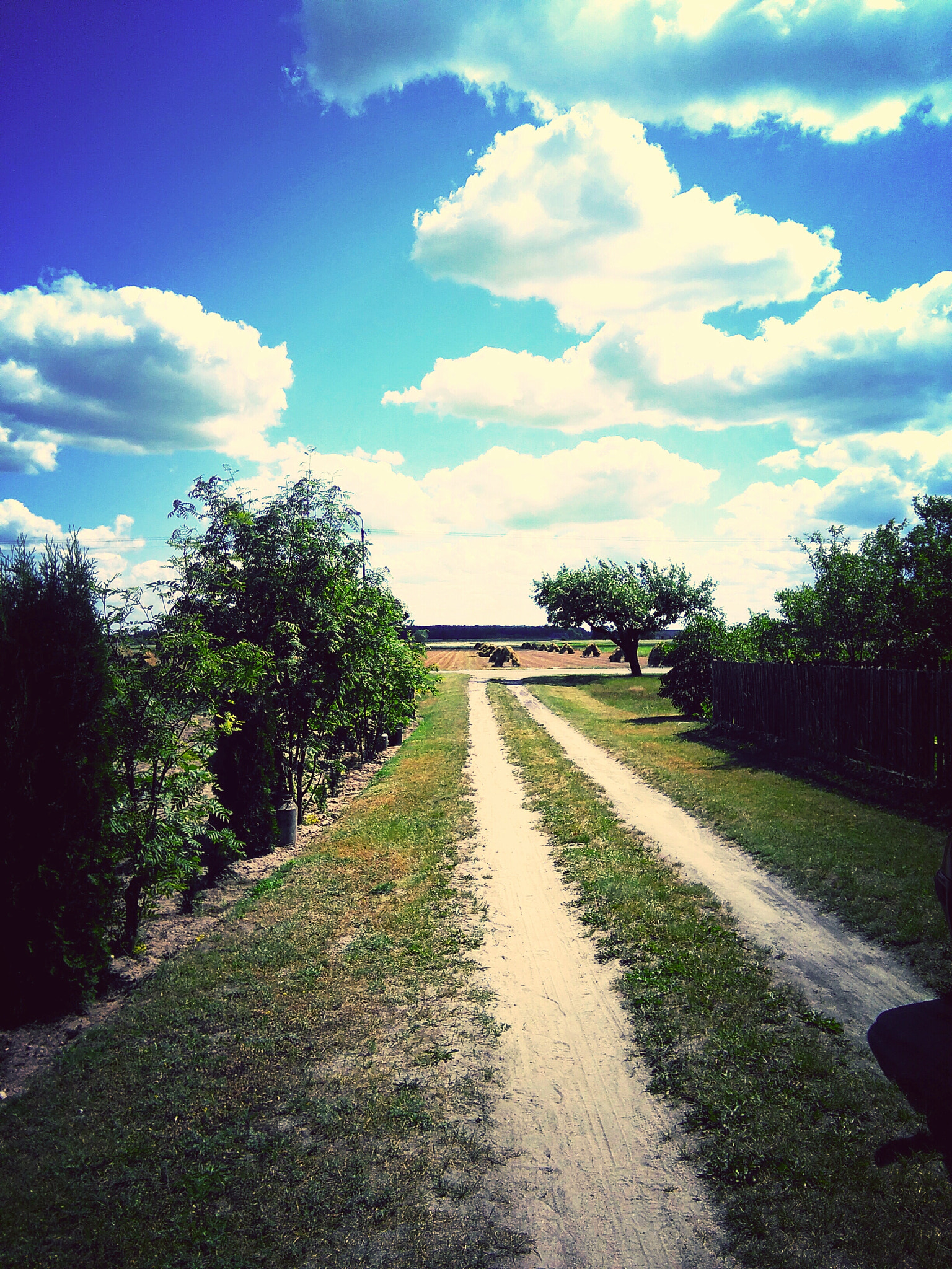 HUAWEI G620S-L01 sample photo. Road and sky photography