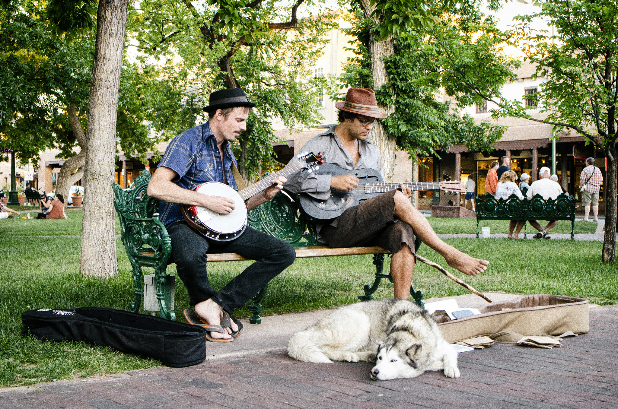 Nikon D7000 + Tamron SP 35mm F1.8 Di VC USD sample photo. Jazz in the park photography