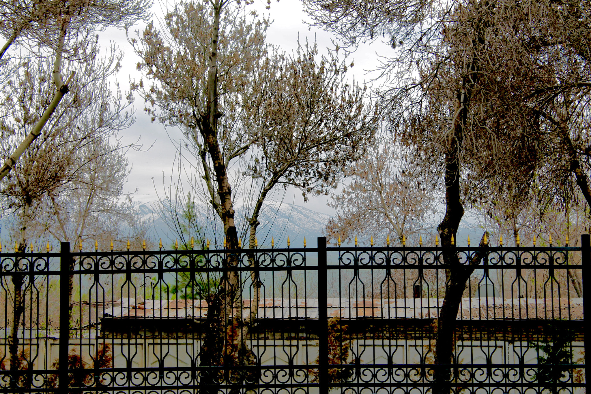 Canon EF-S 18-55mm F3.5-5.6 IS II sample photo. Around tashkent photography