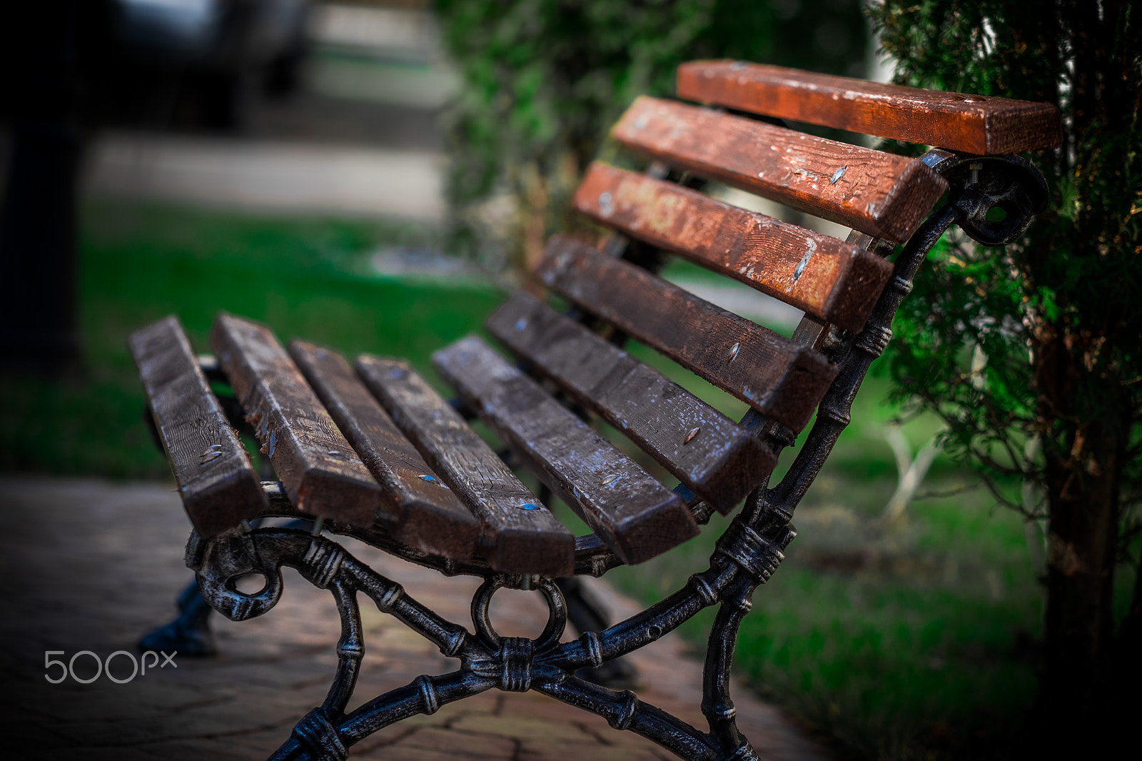 Fujifilm X-T10 + Fujifilm XF 90mm F2 R LM WR sample photo. Bench photography