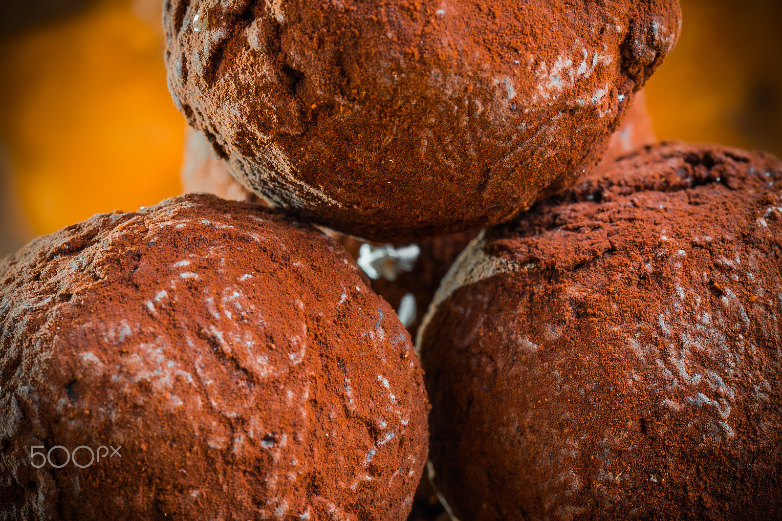Fujifilm X-T10 + Fujifilm XF 90mm F2 R LM WR sample photo. The truffles interrupted photography