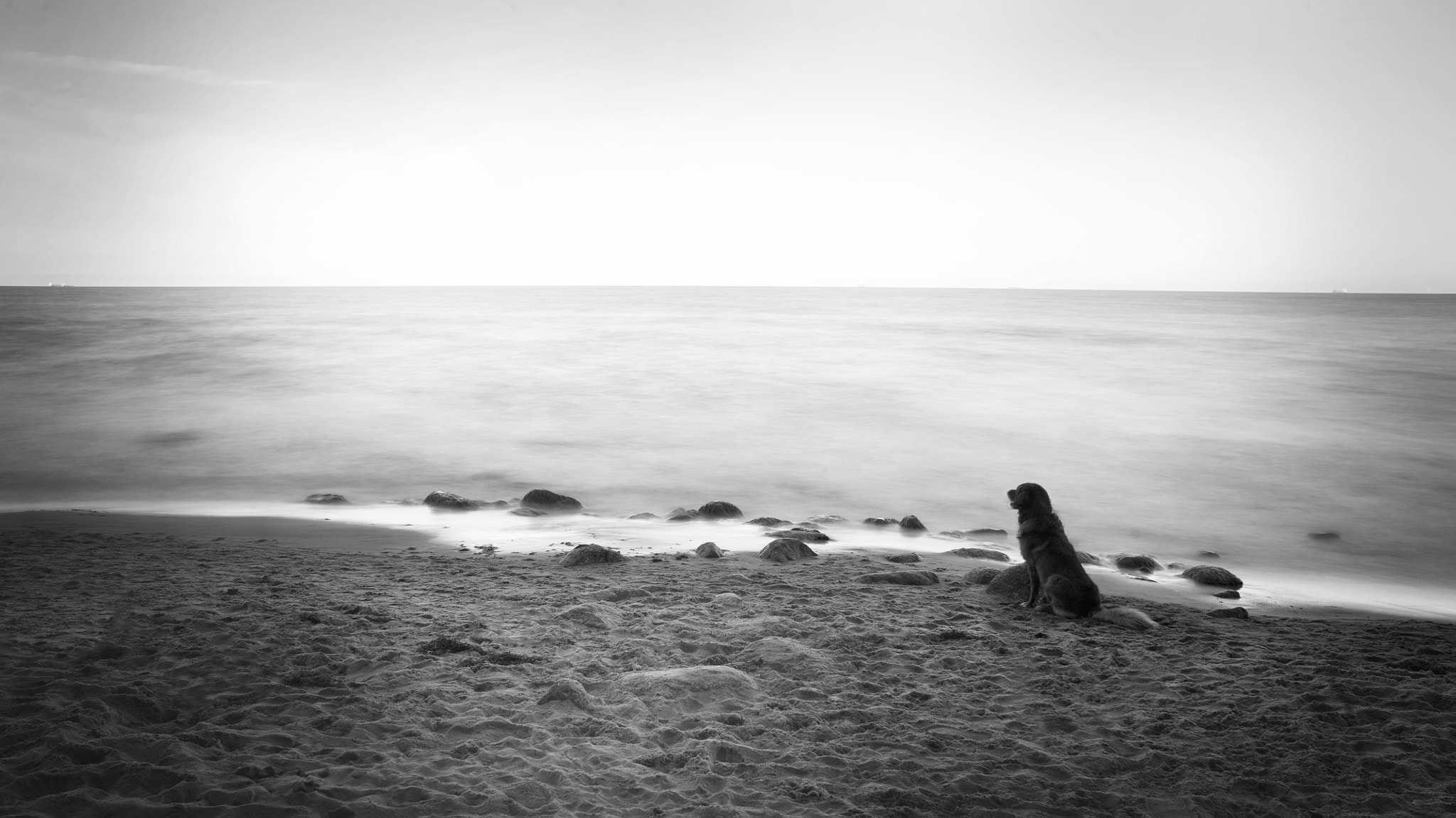 Canon EOS 5D + Canon EF 28mm F1.8 USM sample photo. Waiting for a better day photography