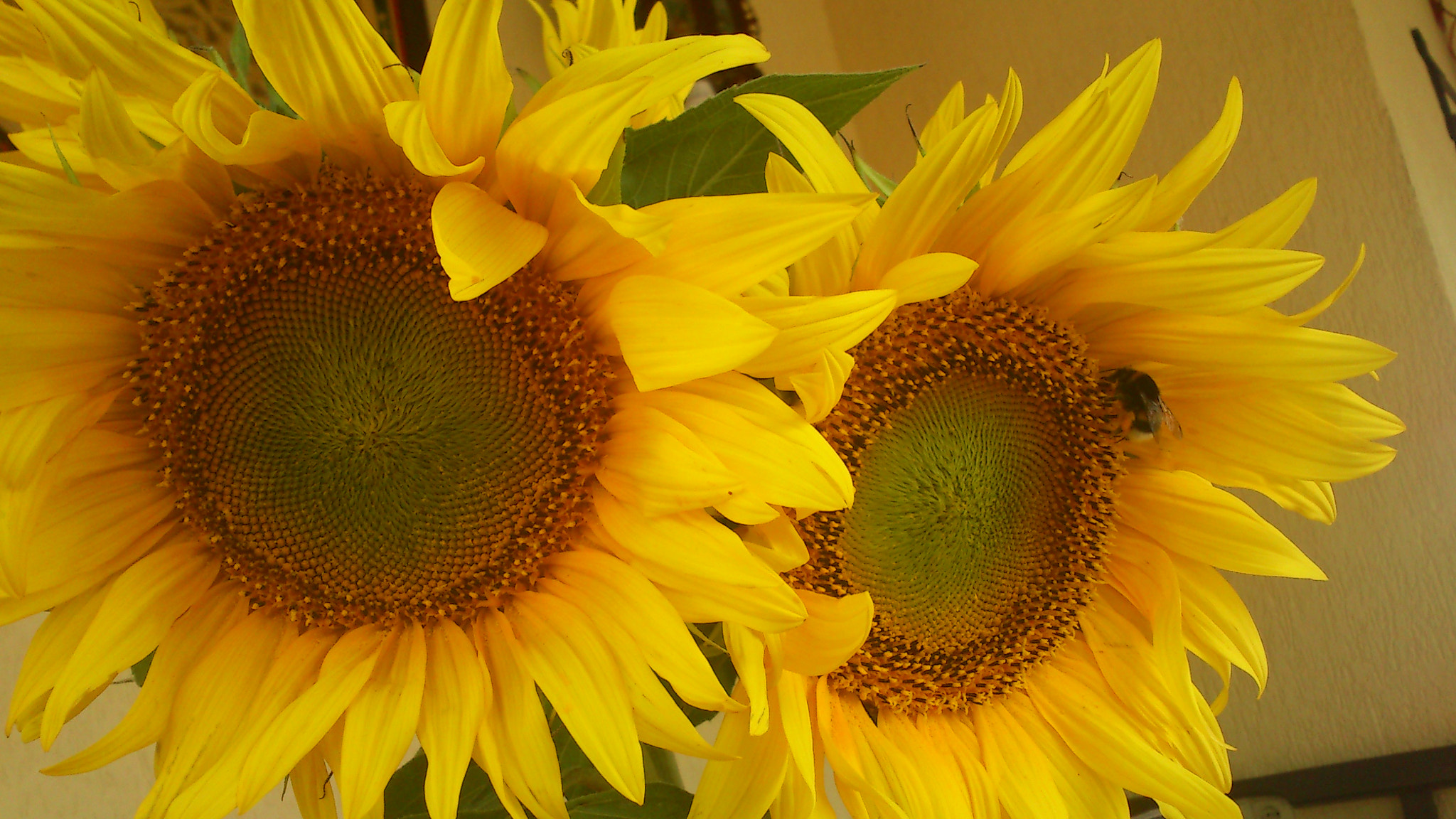 Sony Ericsson Xperia neo V sample photo. Dsc_0020.jpg photography