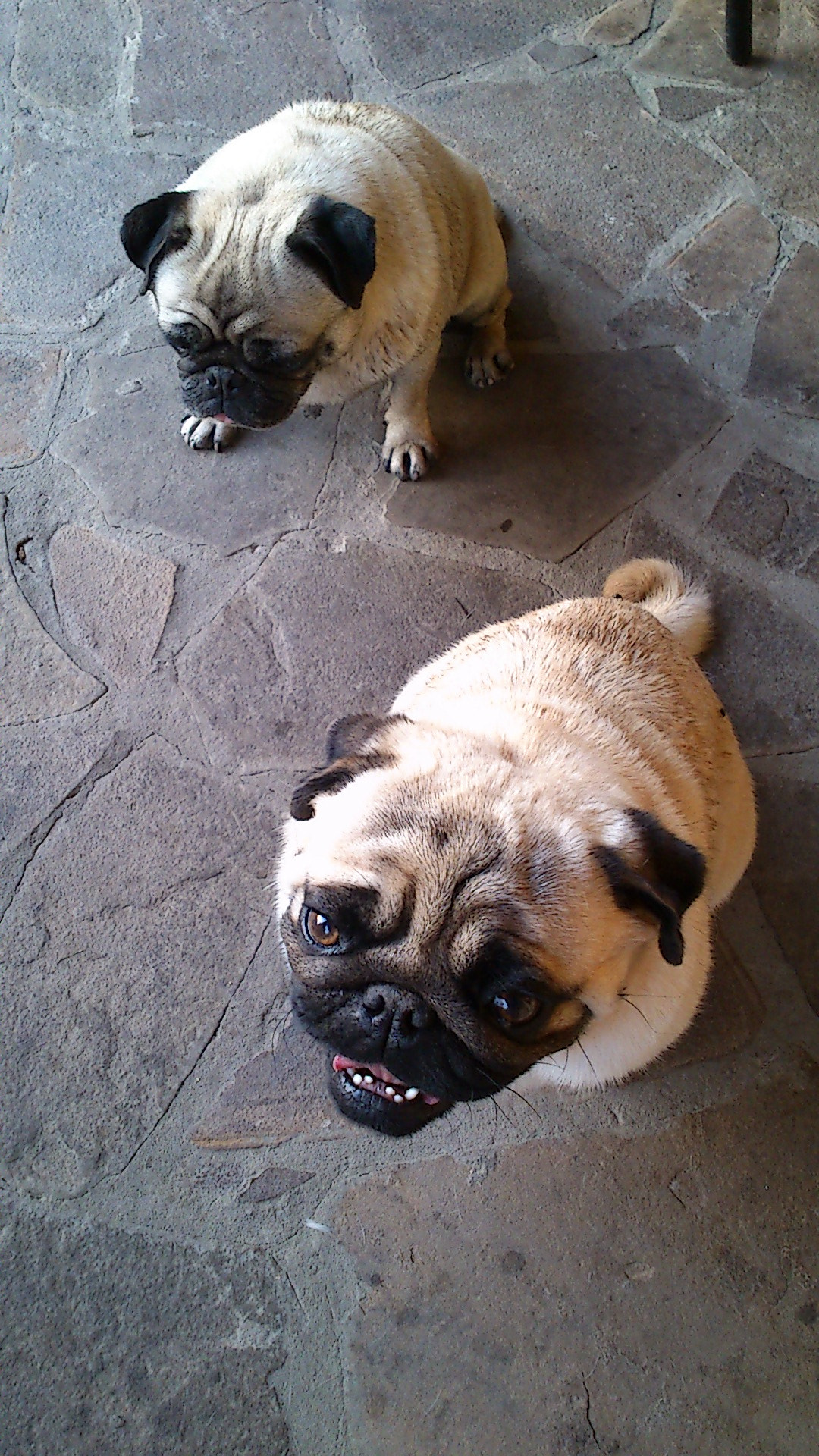 Sony Ericsson Xperia neo V sample photo. Dsc_0123.jpg photography