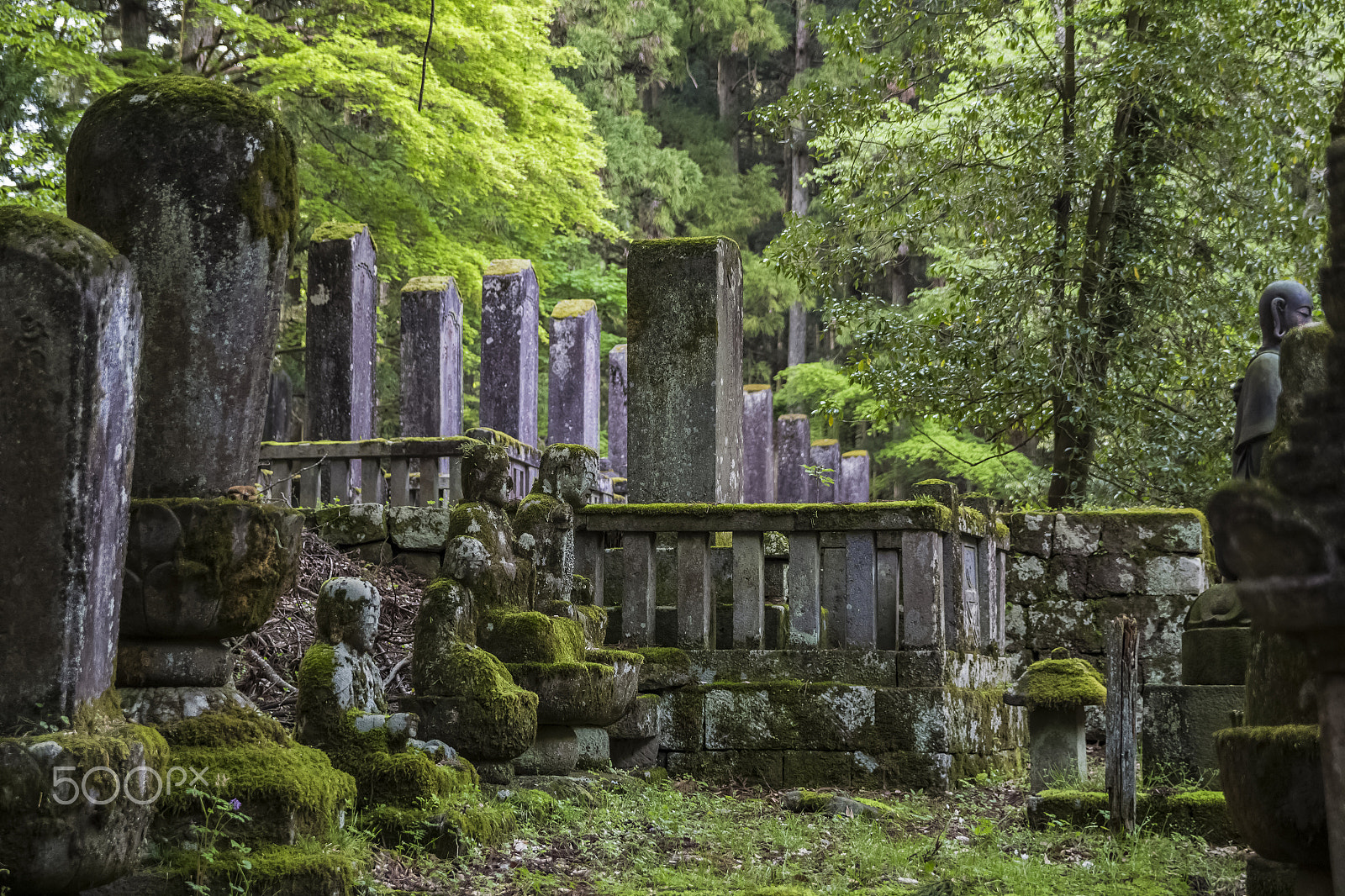 Canon EOS 700D (EOS Rebel T5i / EOS Kiss X7i) sample photo. Ancient cemetery photography