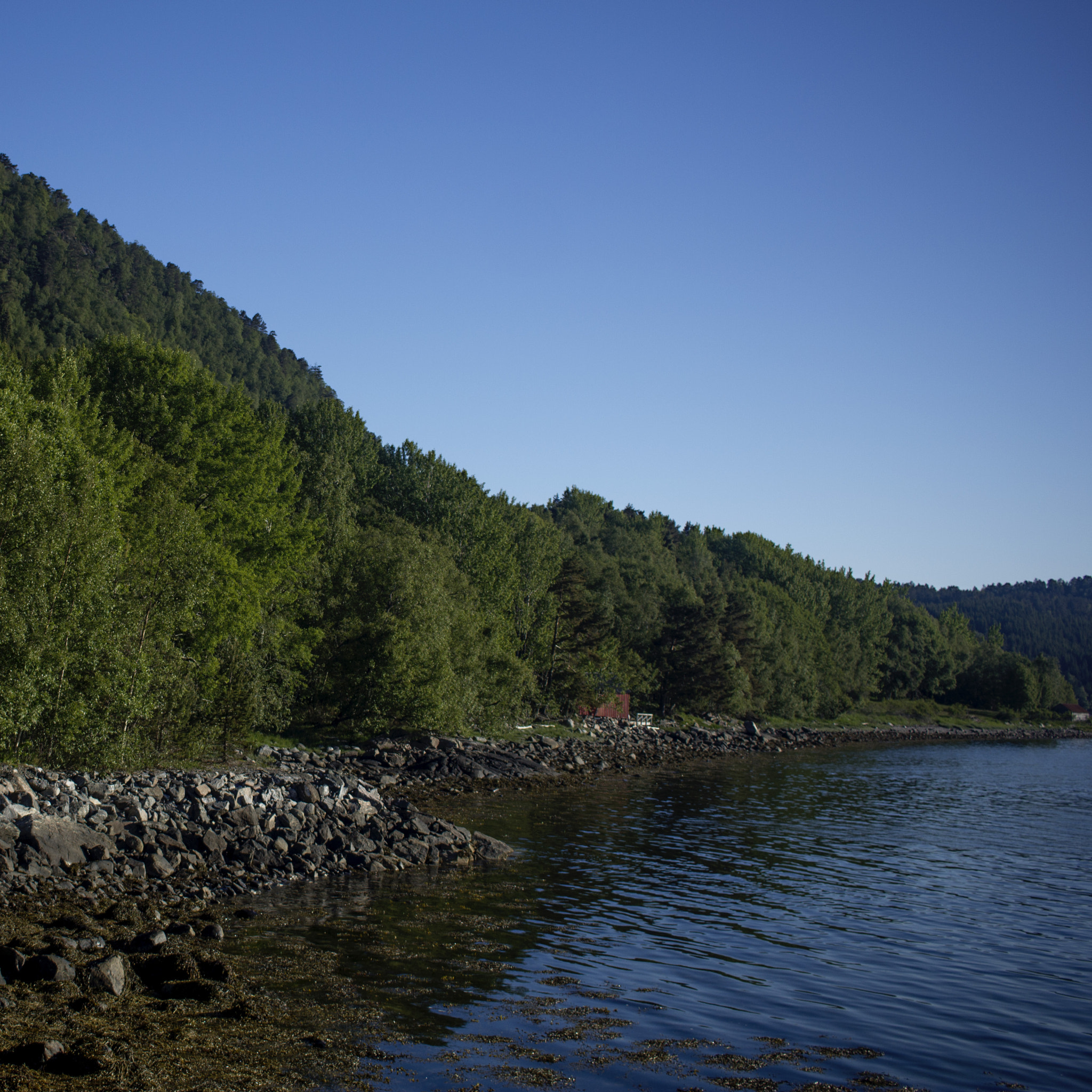 Canon EOS 550D (EOS Rebel T2i / EOS Kiss X4) sample photo. Norway photography