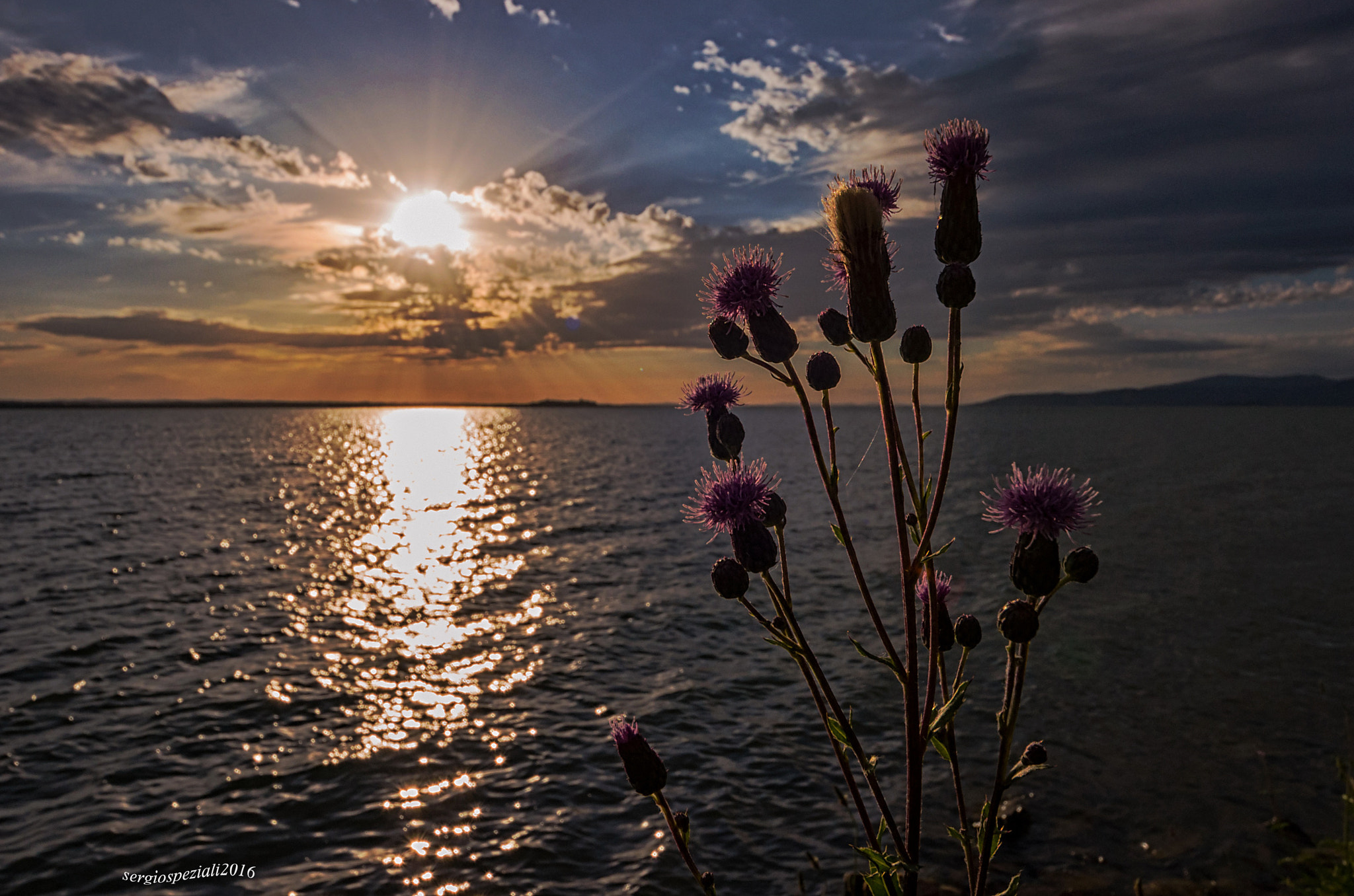 Sigma 8-16mm F4.5-5.6 DC HSM sample photo. Cardi photography