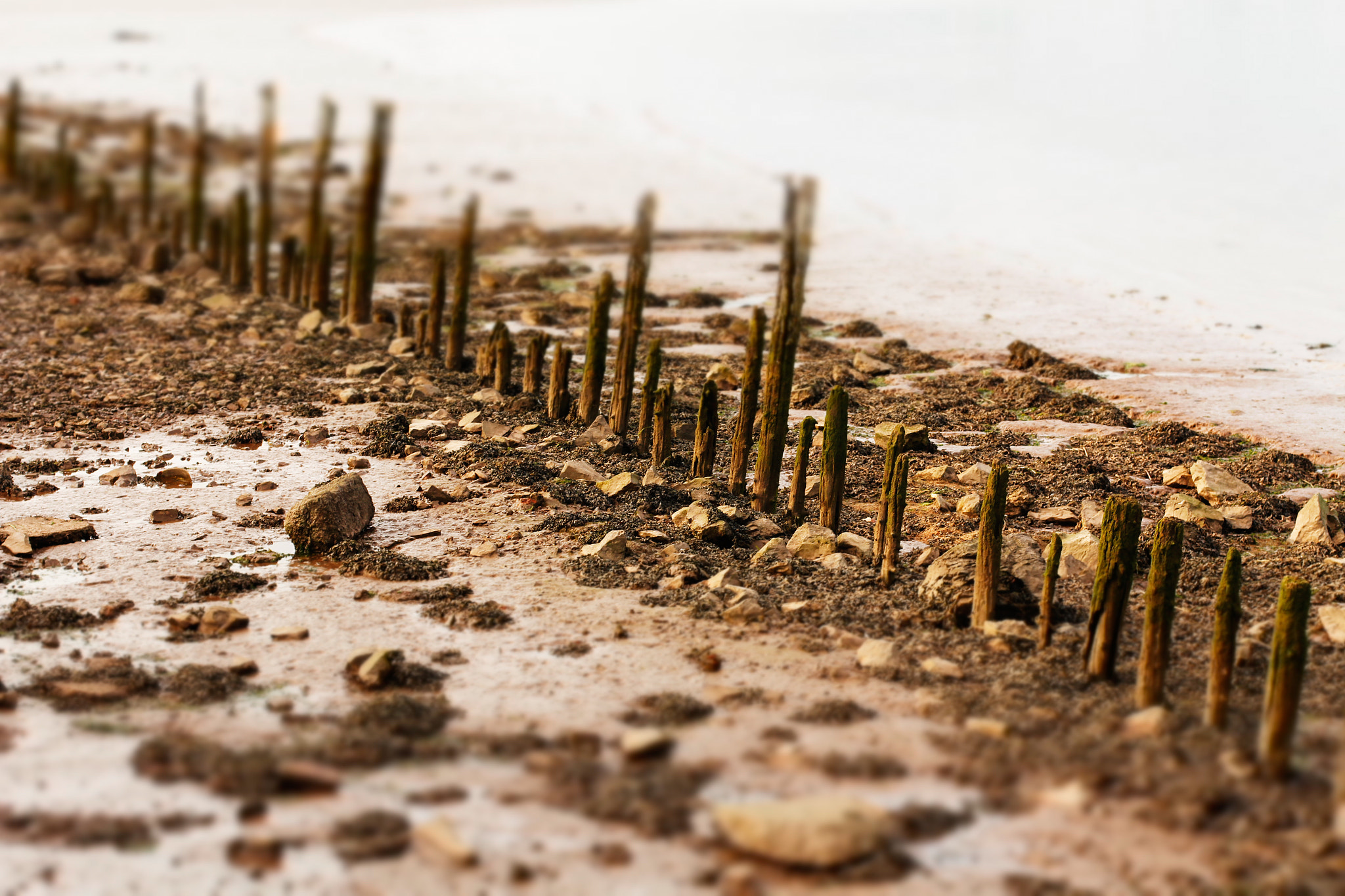 Canon EOS 60D + Canon EF 50mm F1.4 USM sample photo. Exeter peer photography