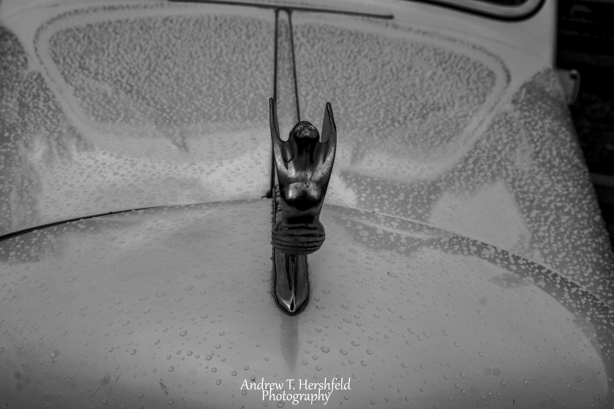 Canon EF 28-80mm f/3.5-5.6 sample photo. Desoto hood ornament photography