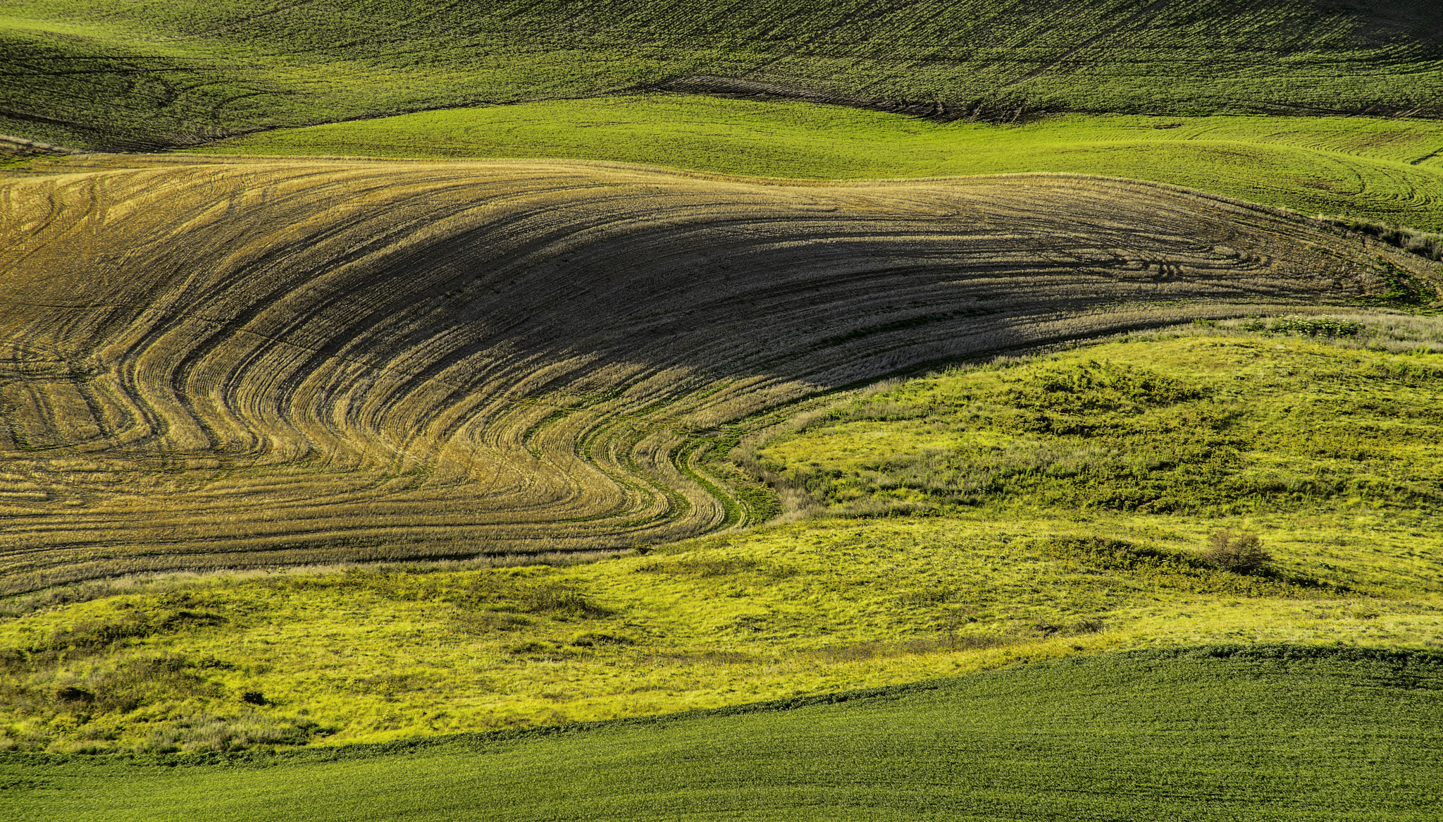 Sony a7R + Sony 75-300mm F4.5-5.6 sample photo. Earth patterns photography