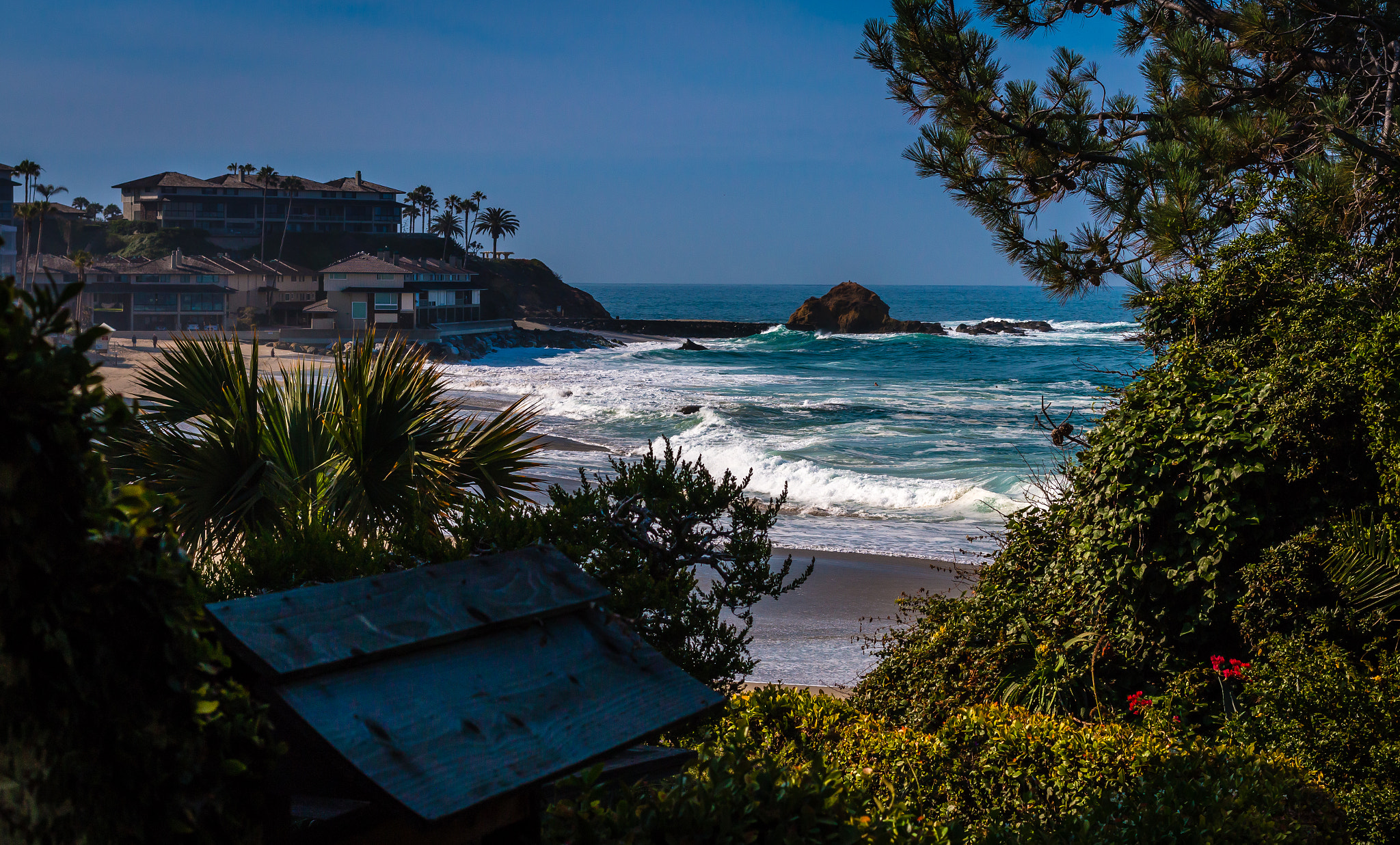 Canon EOS 70D + Canon EF 50mm F1.4 USM sample photo. Victoria beach ca photography