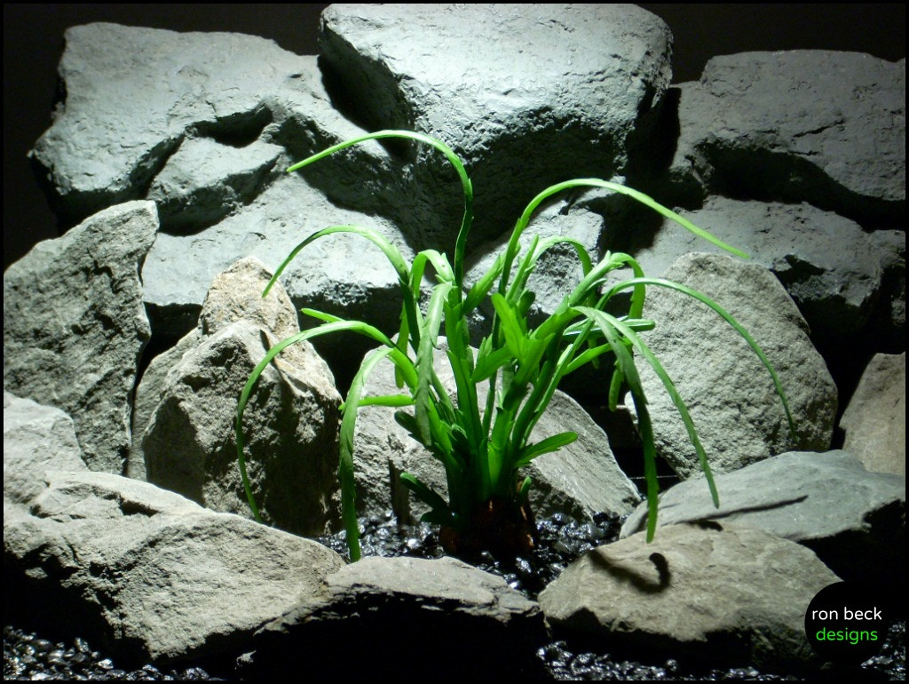 Nikon COOLPIX L11 sample photo. Reptile plant pencil succulent from ron beck designs photography