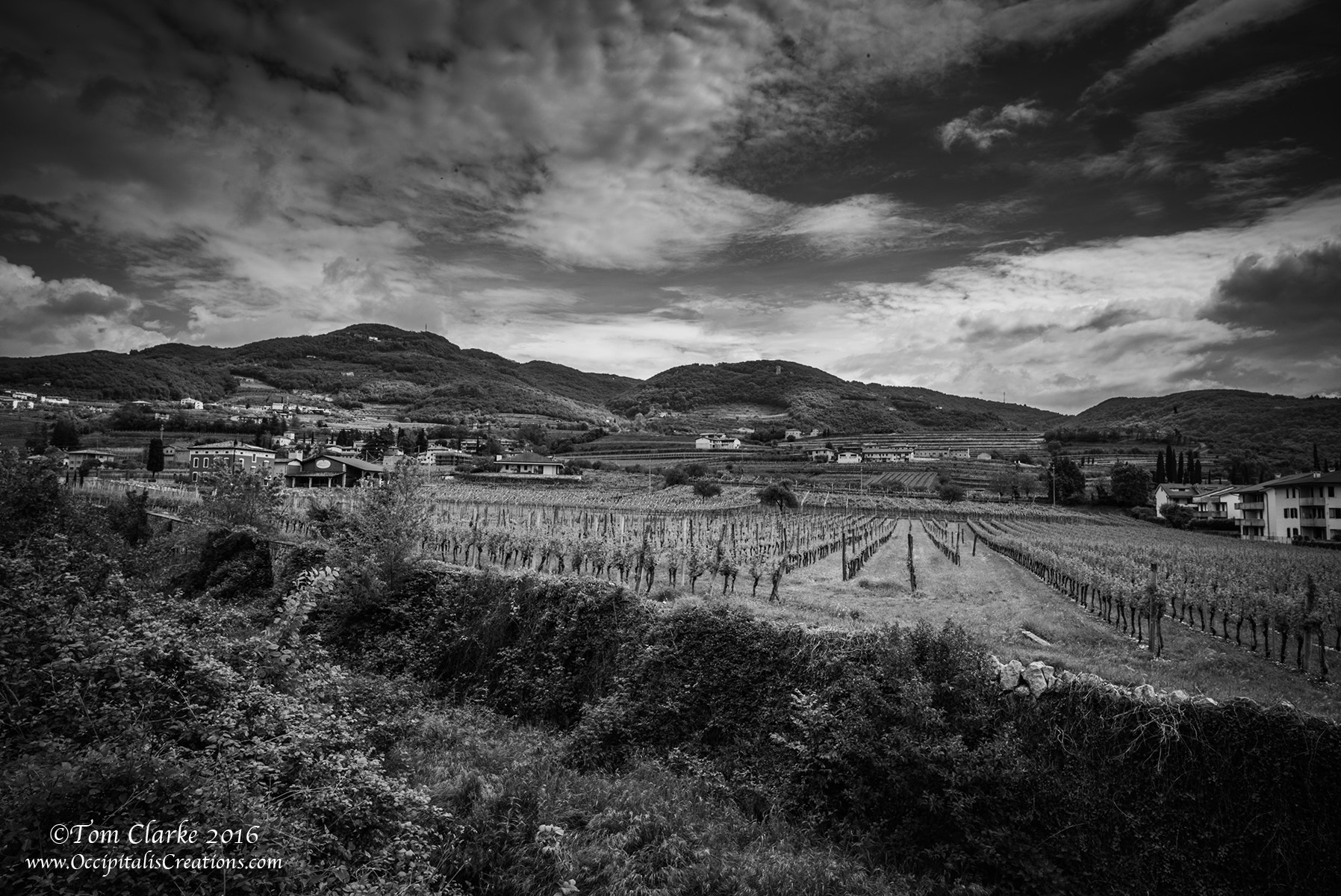 Leica Summilux-M 21mm F1.4 Asph sample photo. 'the vineyard' photography