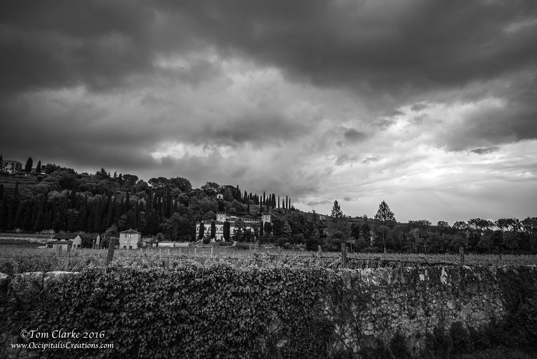 Leica Summilux-M 21mm F1.4 Asph sample photo. 'the vineyard' photography