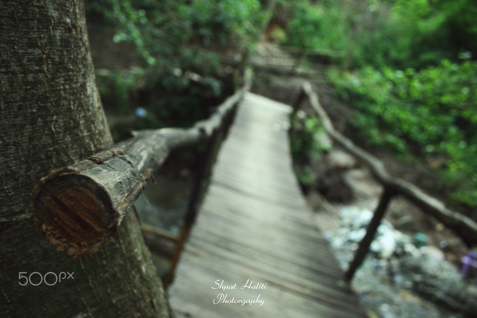 Canon EF-S 18-55mm F3.5-5.6 sample photo. Staying alone :_) photography