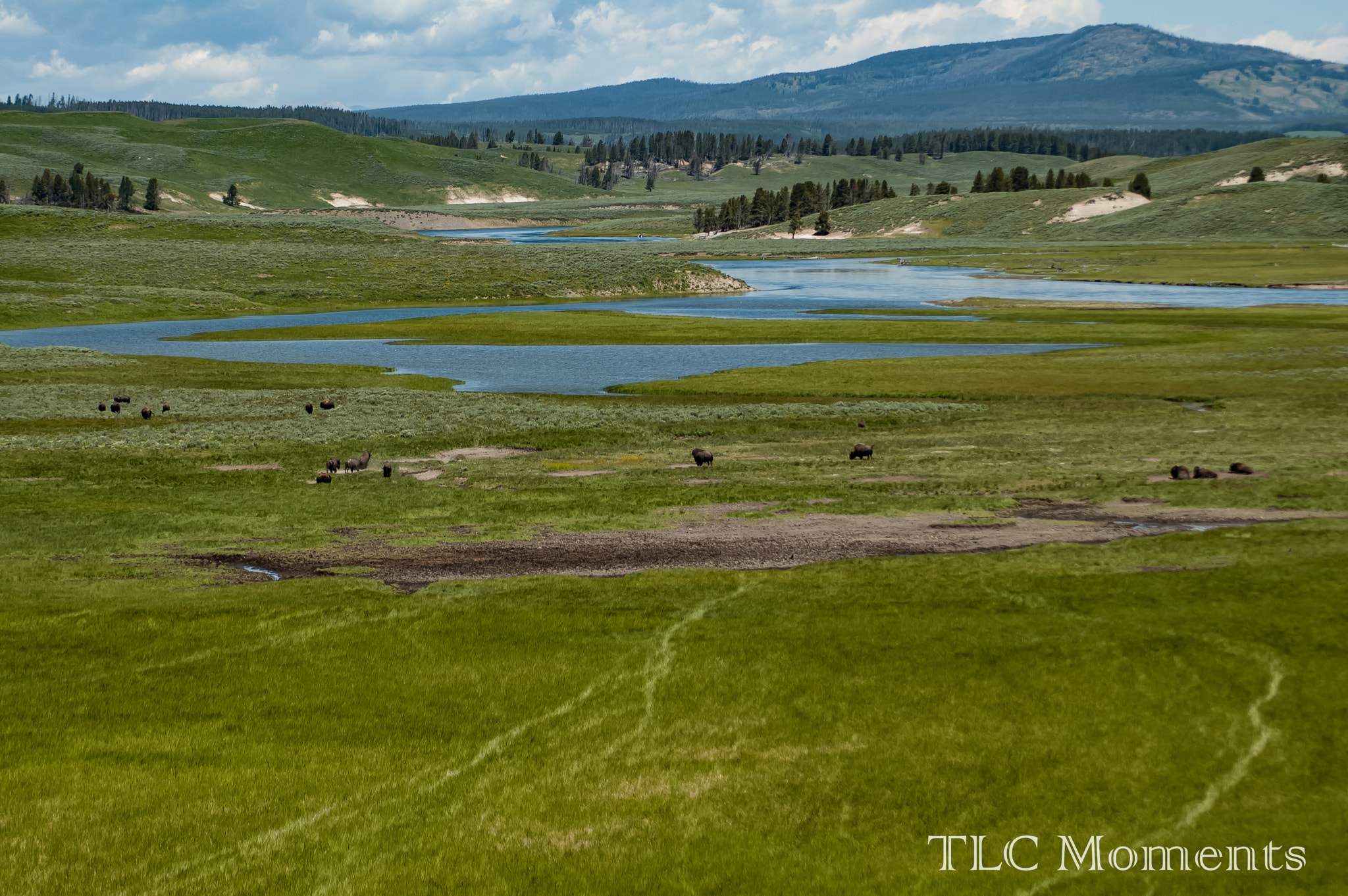 Nikon D50 + Tamron SP 70-300mm F4-5.6 Di VC USD sample photo. Hayden valley of yellowstone photography