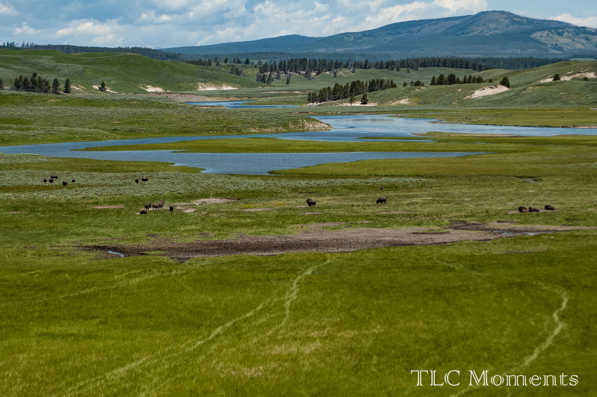 Nikon D50 sample photo. Hayden valley of yellowstone photography