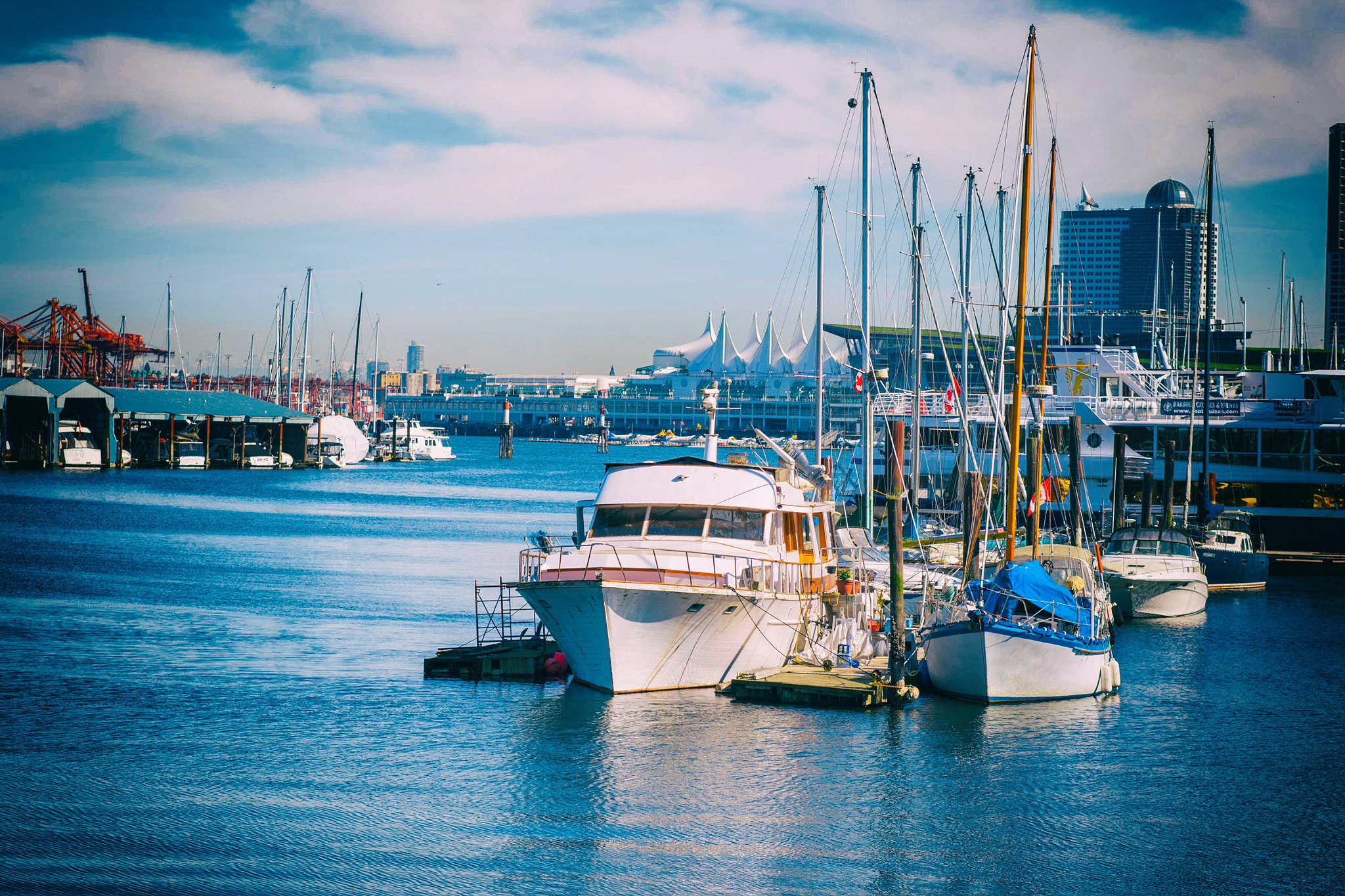 Canon EF 100mm F2.0 USM sample photo. Vancouver harbour photography