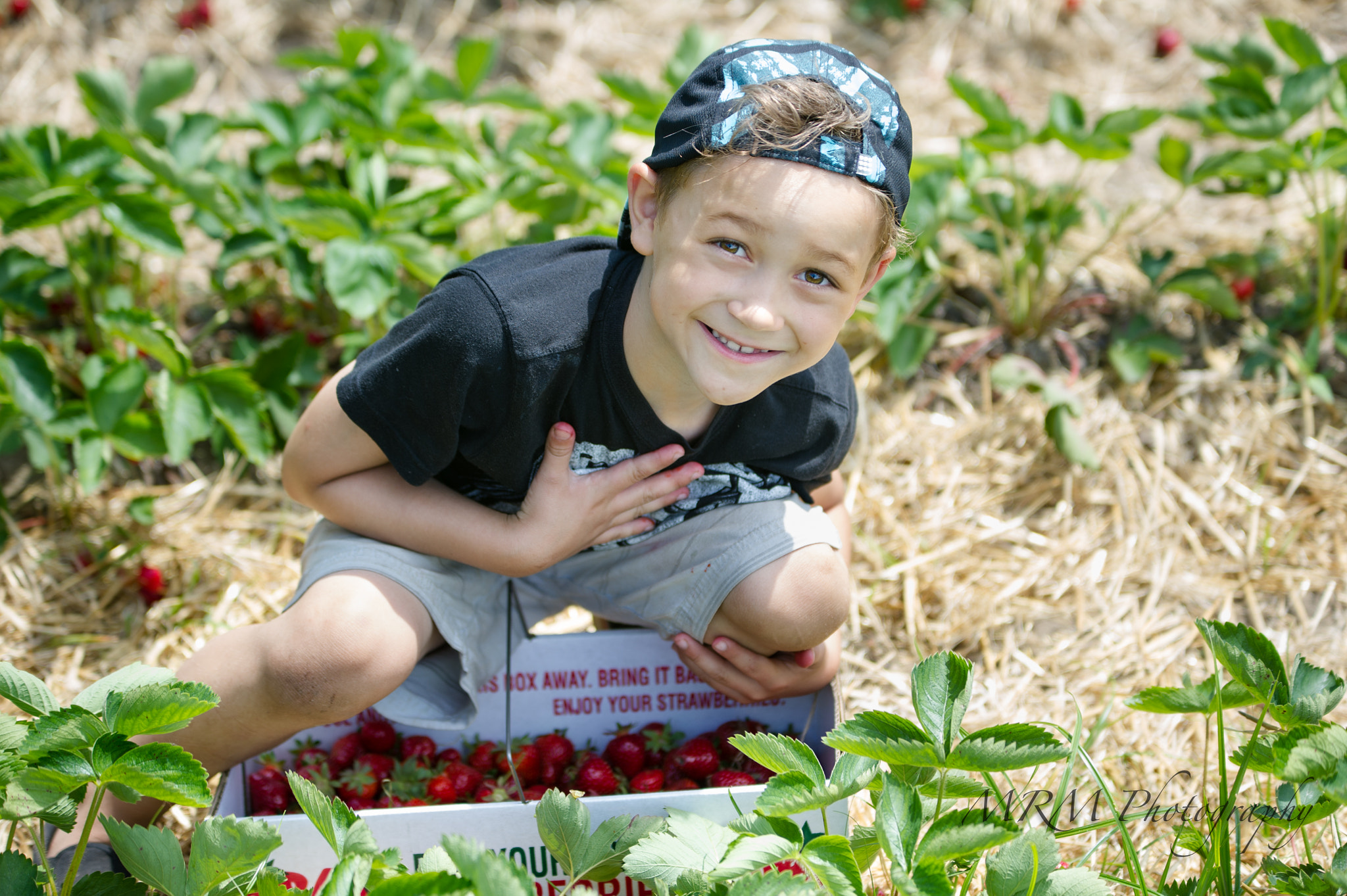 Sigma 70-200mm F2.8 EX DG OS HSM sample photo. Strawberry patch photography